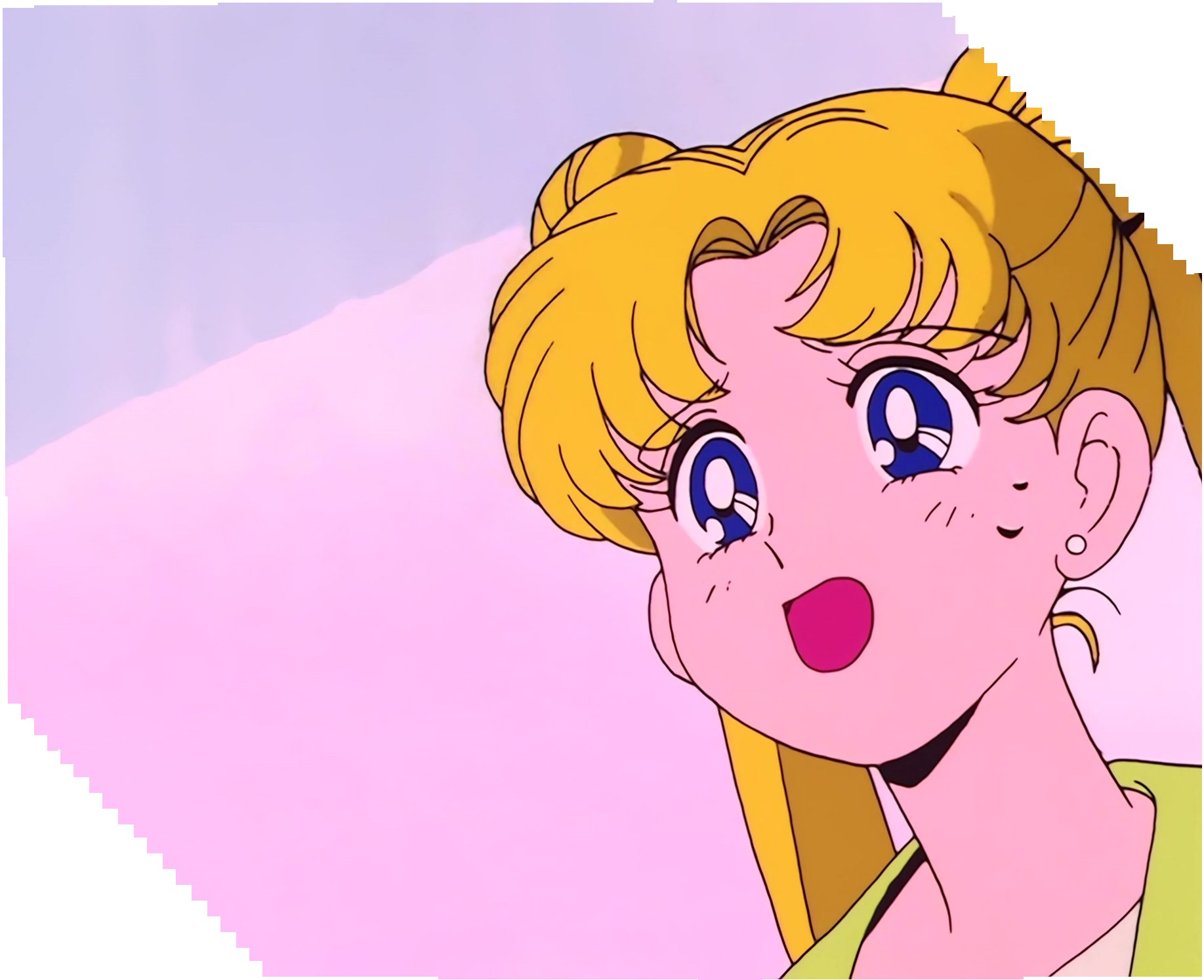 Sailor Moon Stitch 0411.jpg