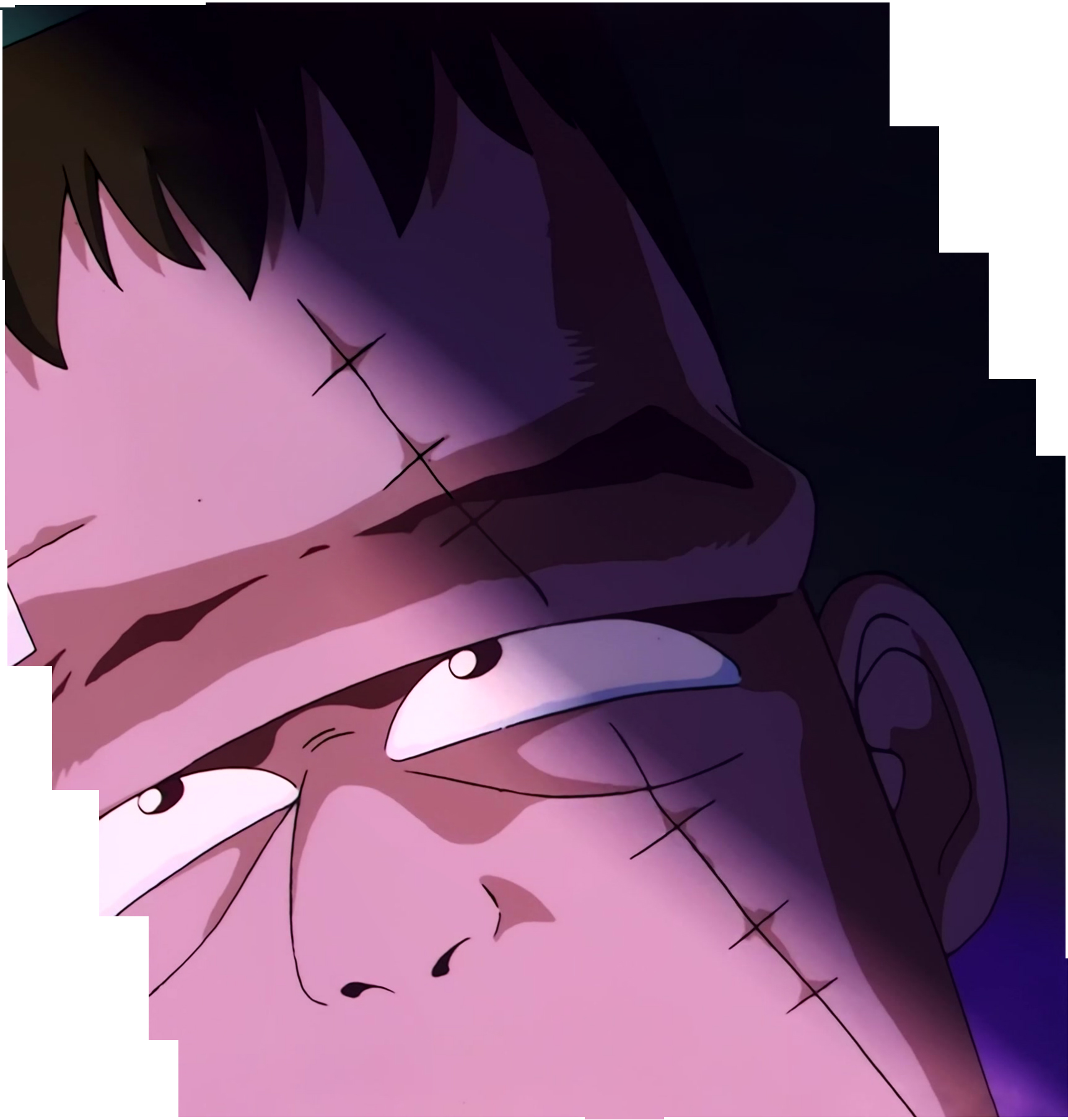 Sailor Moon Stitch 0461.jpg