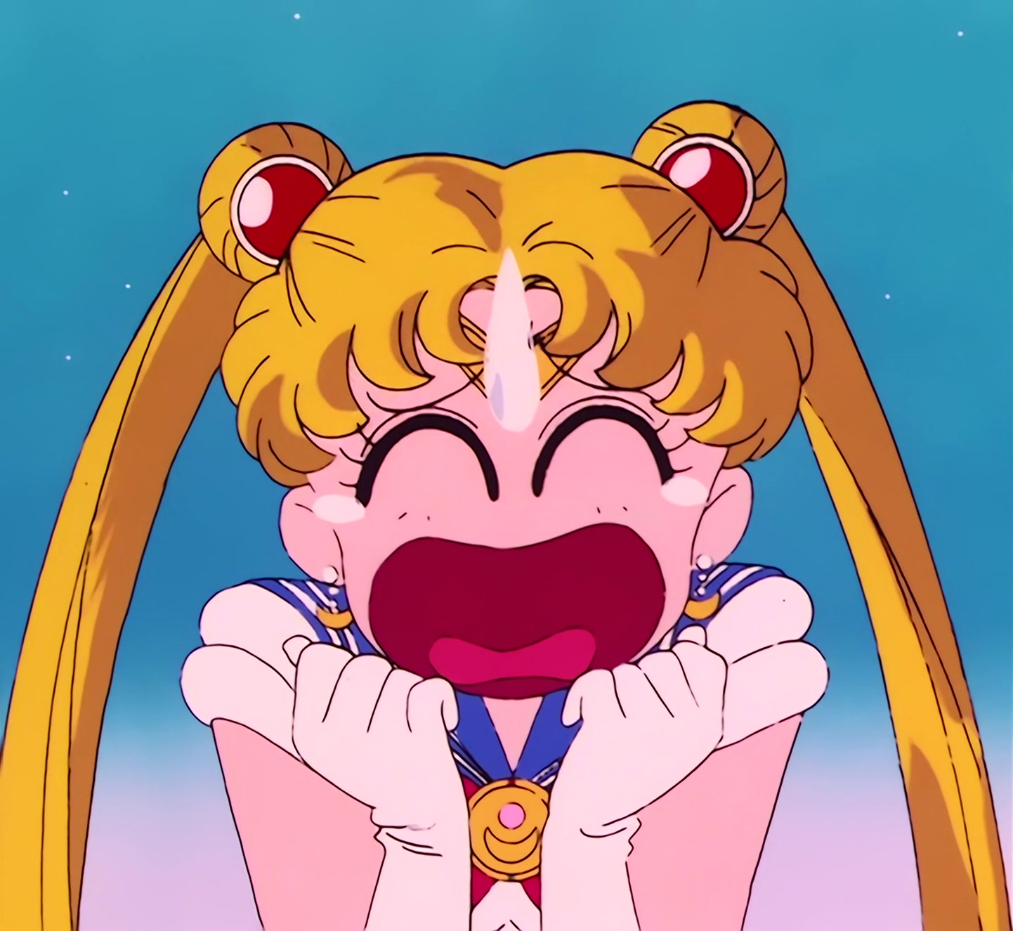 Sailor Moon Stitch 0468.jpg