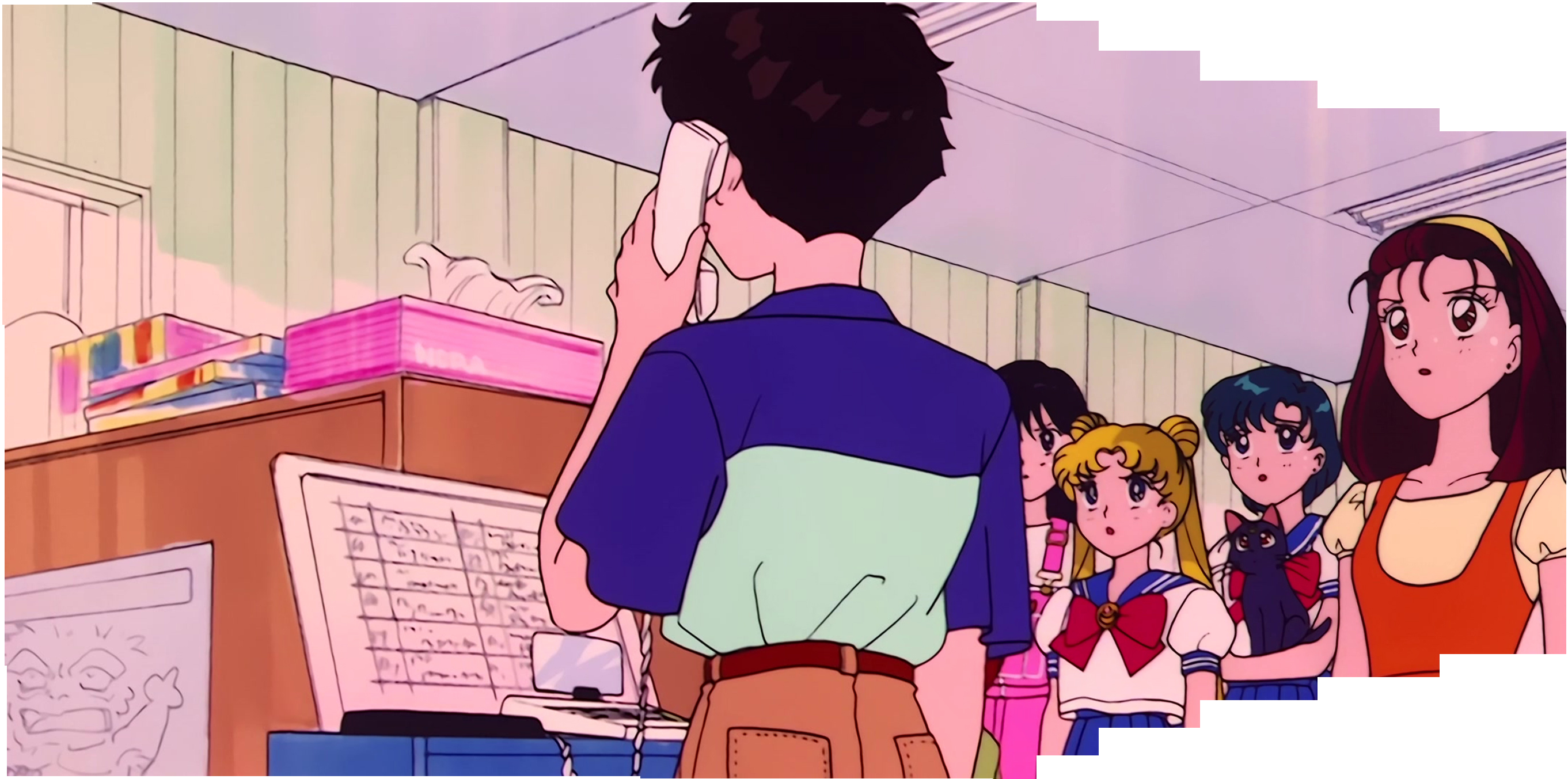 Sailor Moon Stitch 0502.jpg