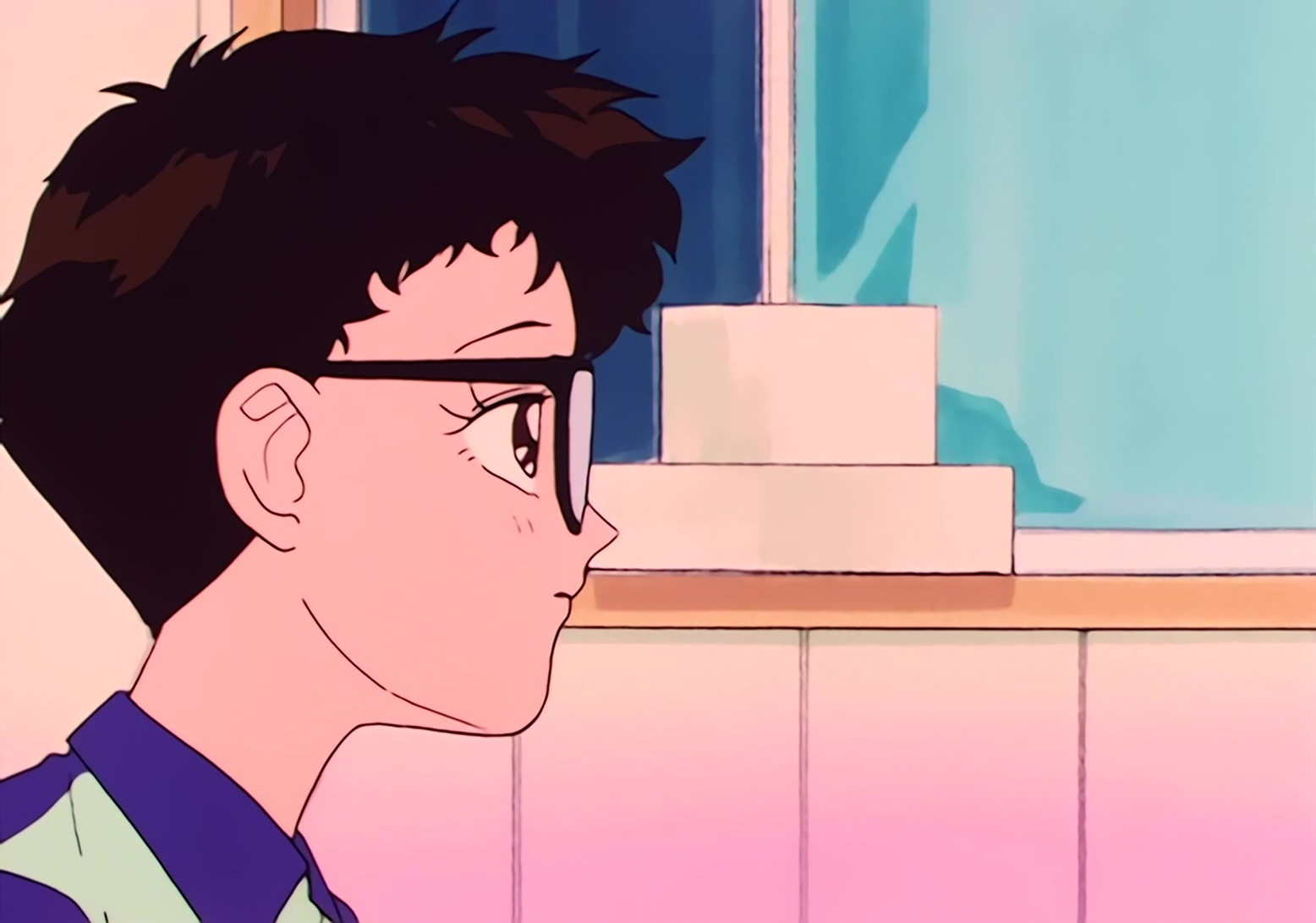 Sailor Moon Stitch 0520.jpg