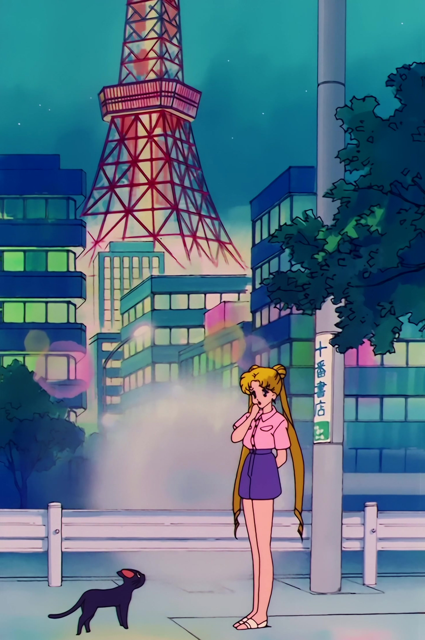 Sailor Moon Stitch 0575.jpg