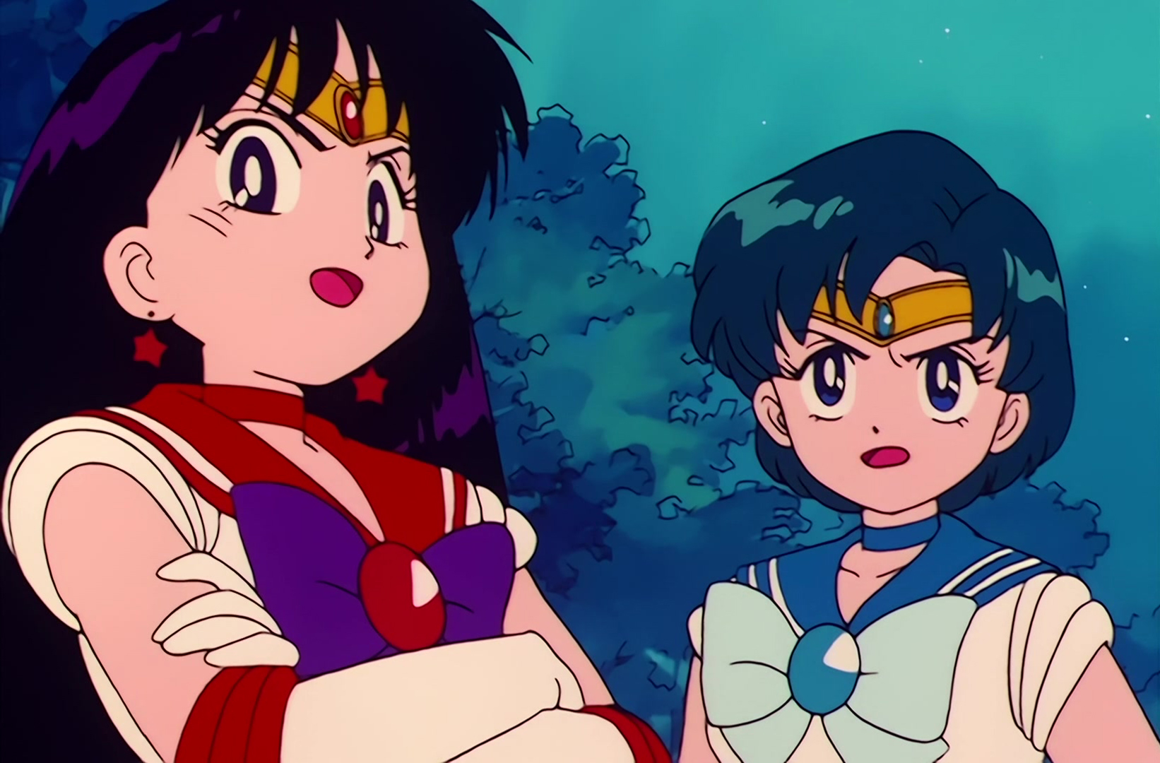 Sailor Moon Stitch 0582.jpg