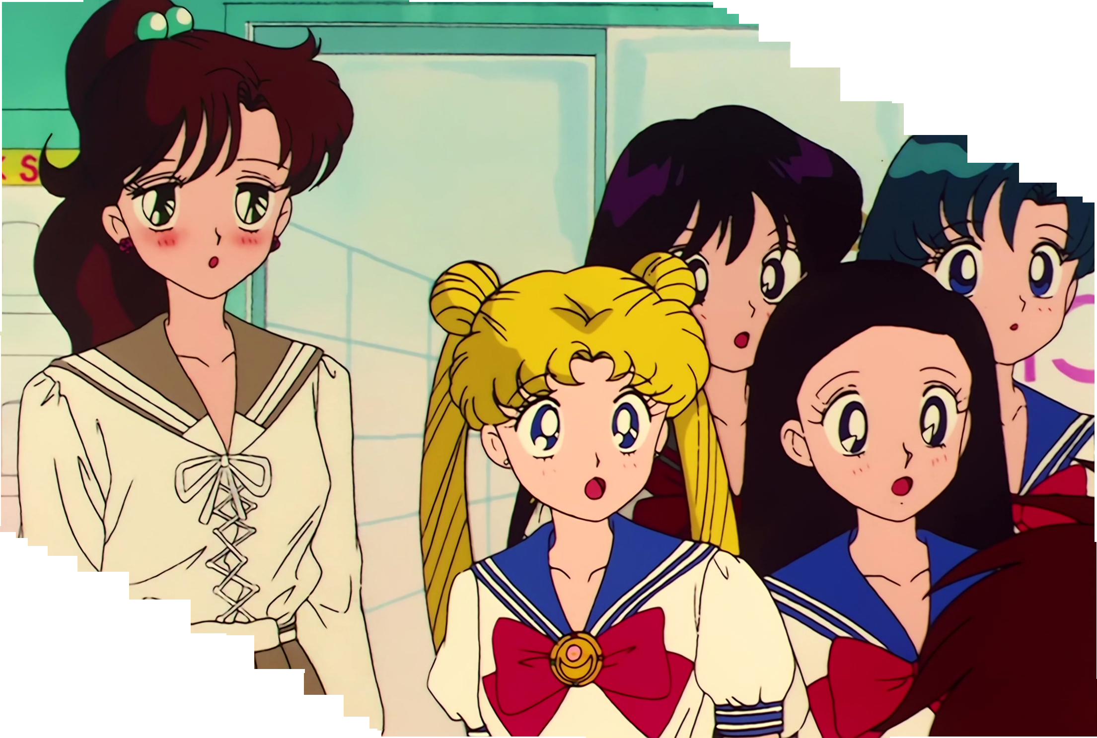 Sailor Moon Stitch 0615.jpg
