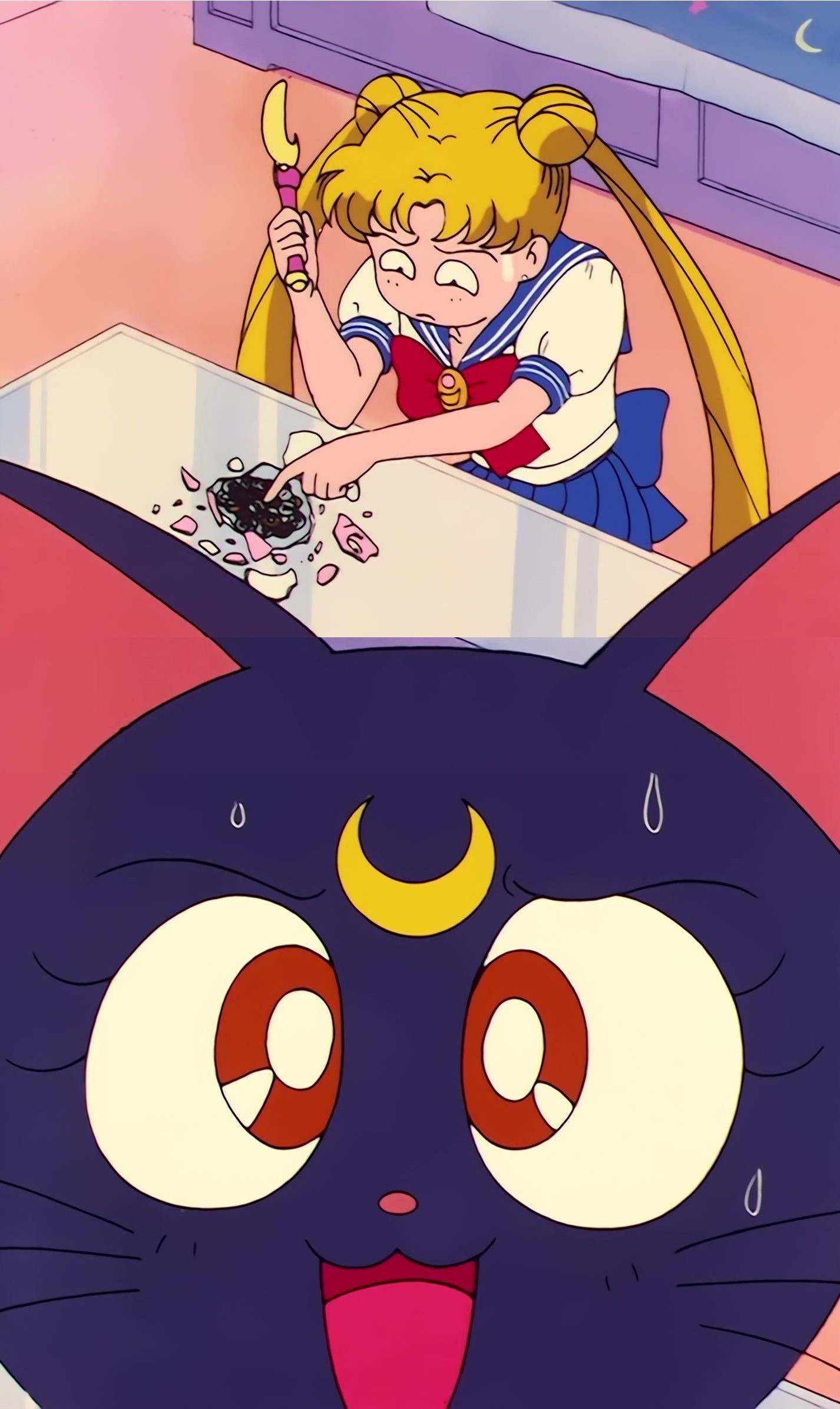 Sailor Moon Stitch 0641.jpg