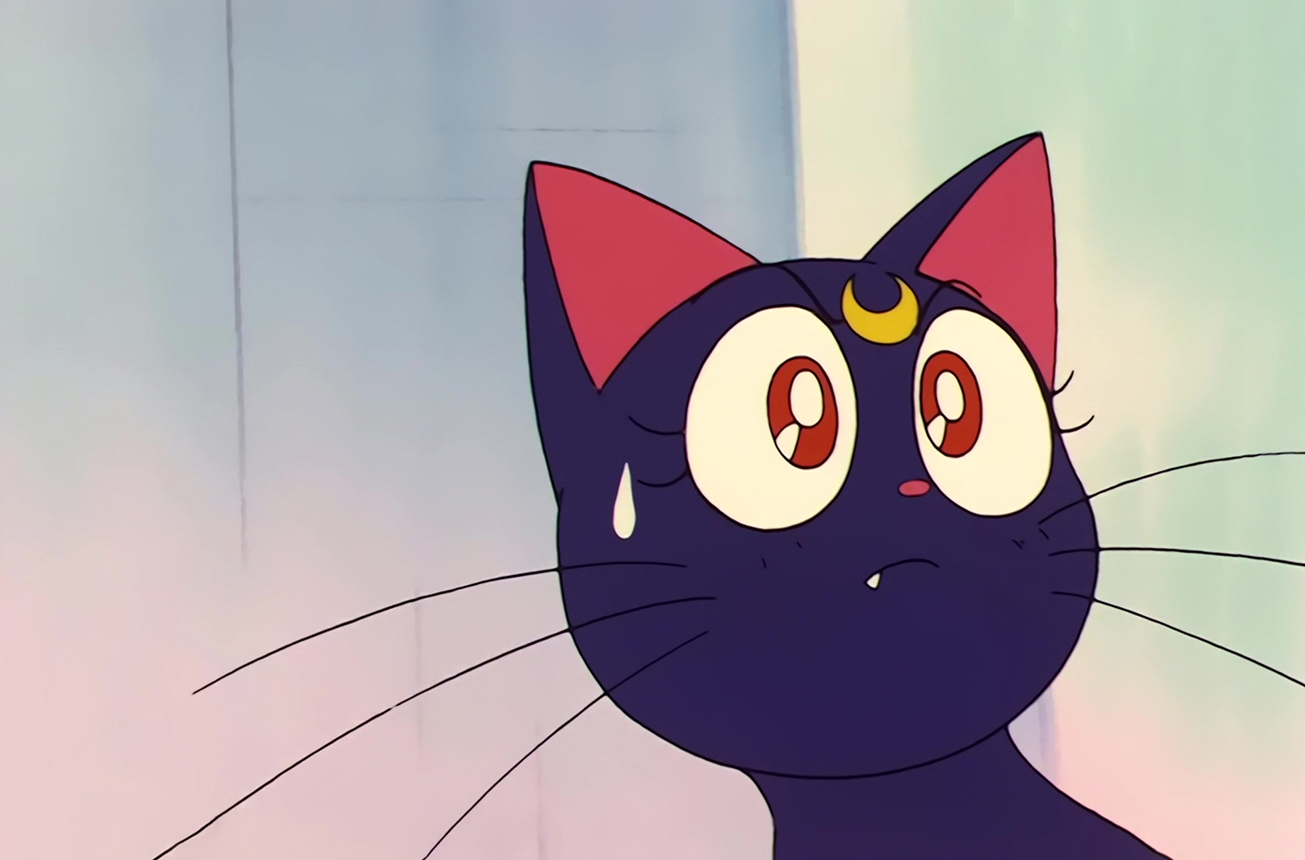 Sailor Moon Stitch 0663.jpg