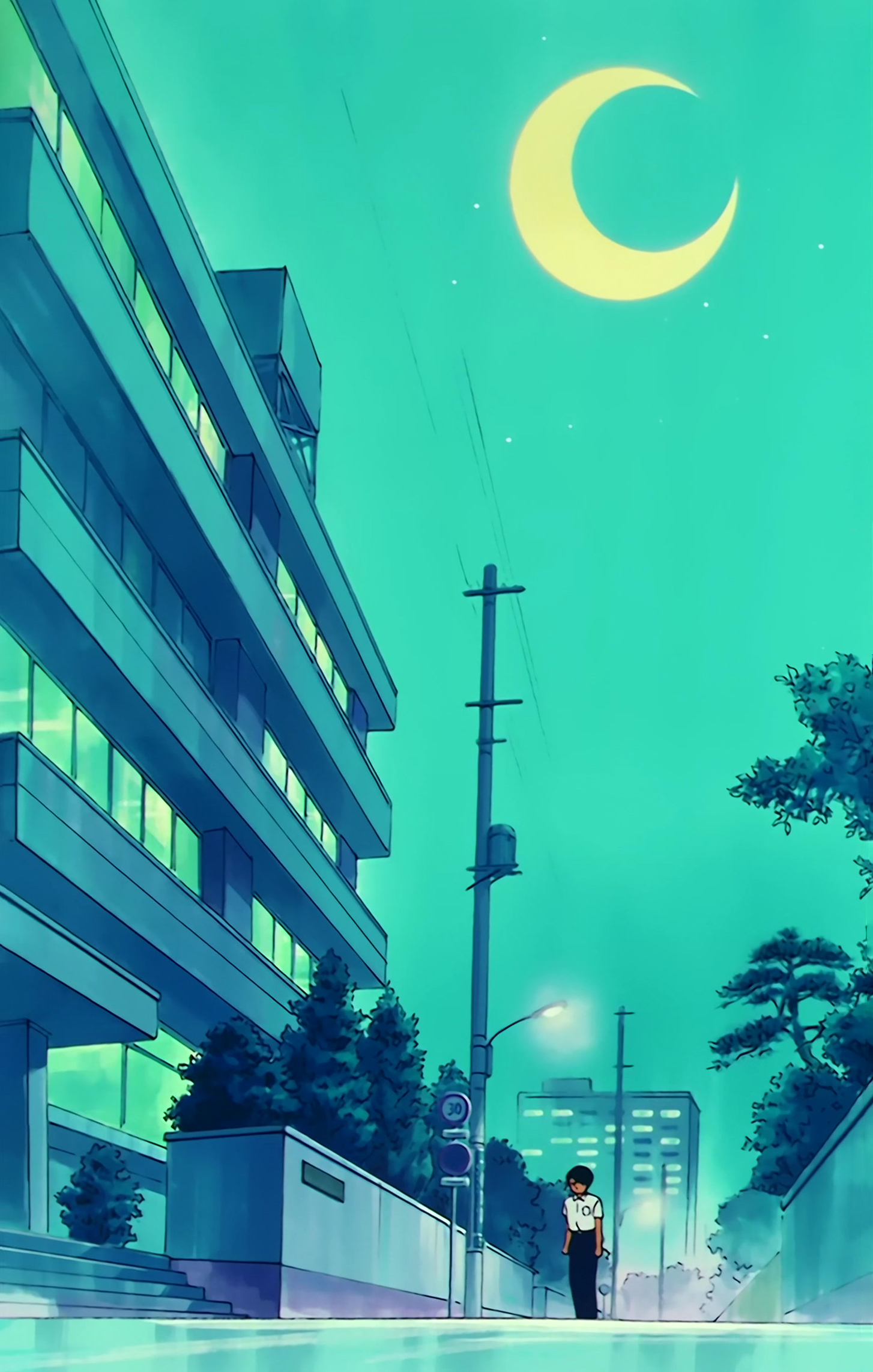 Sailor Moon Stitch 0677.jpg