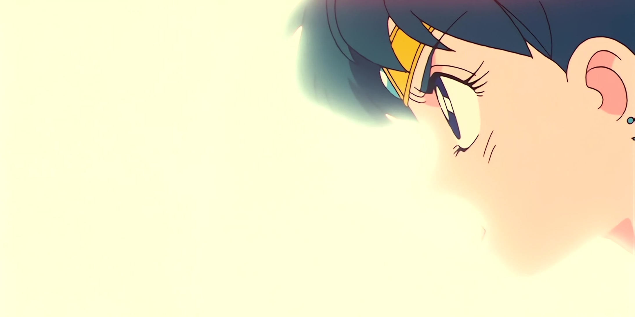 Sailor Moon Stitch 0680.jpg
