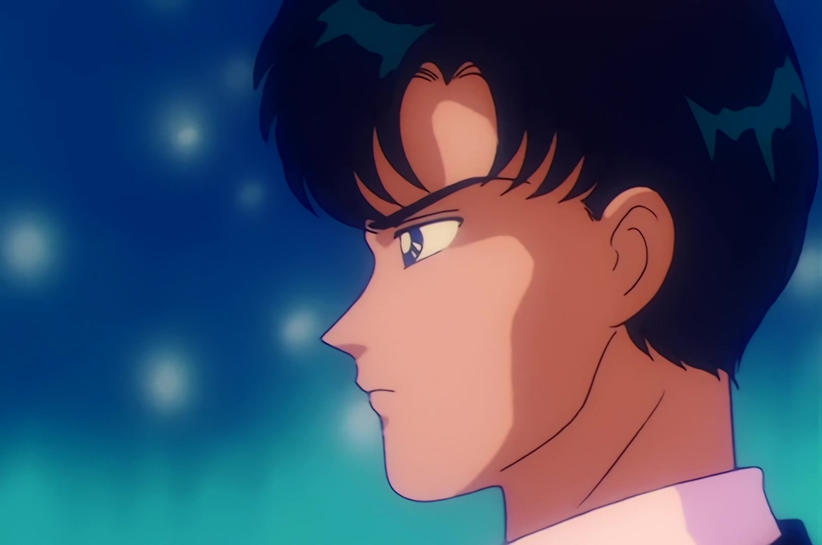 Sailor Moon Stitch 0701.jpg