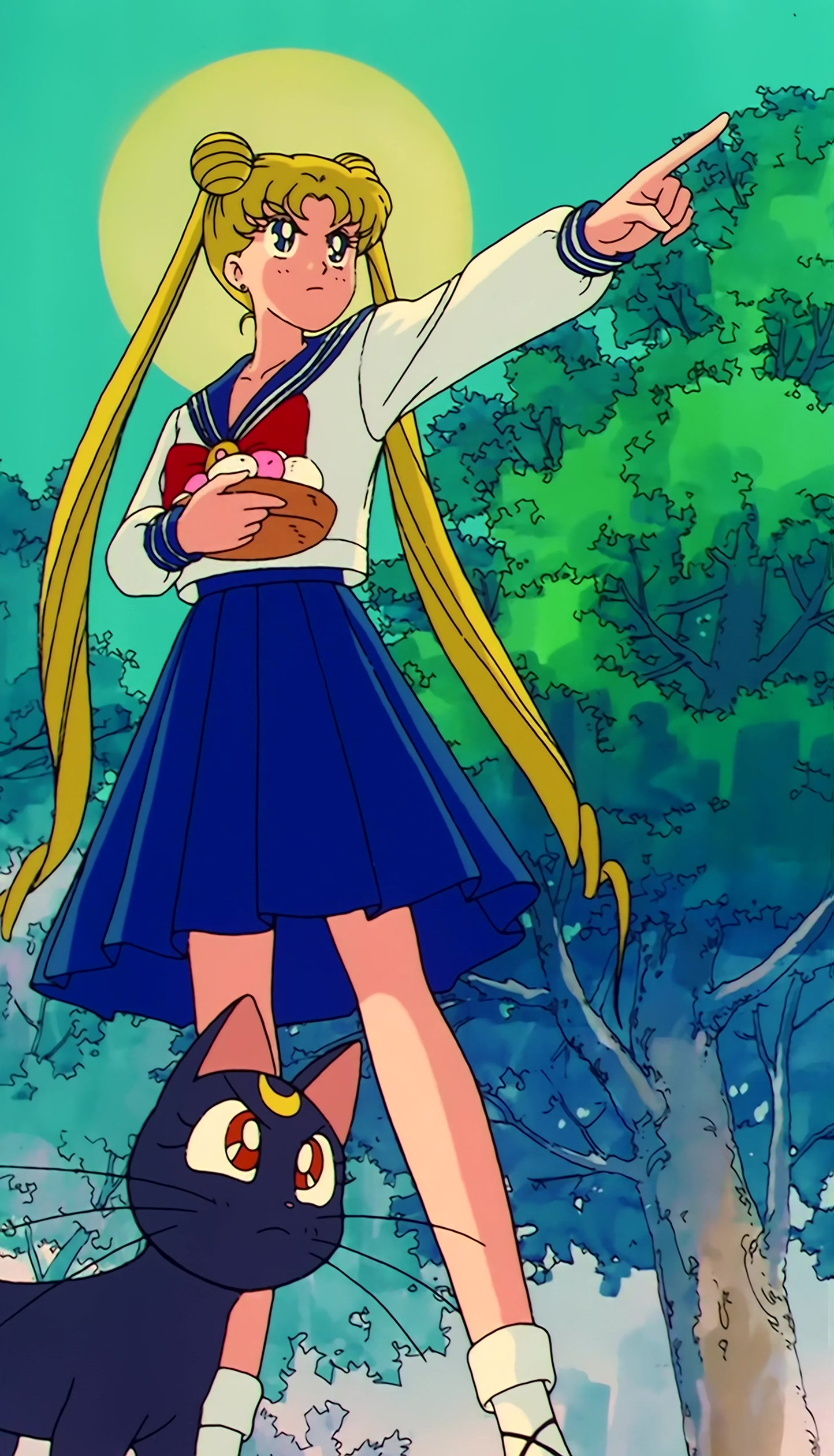 Sailor Moon Stitch 0774.jpg