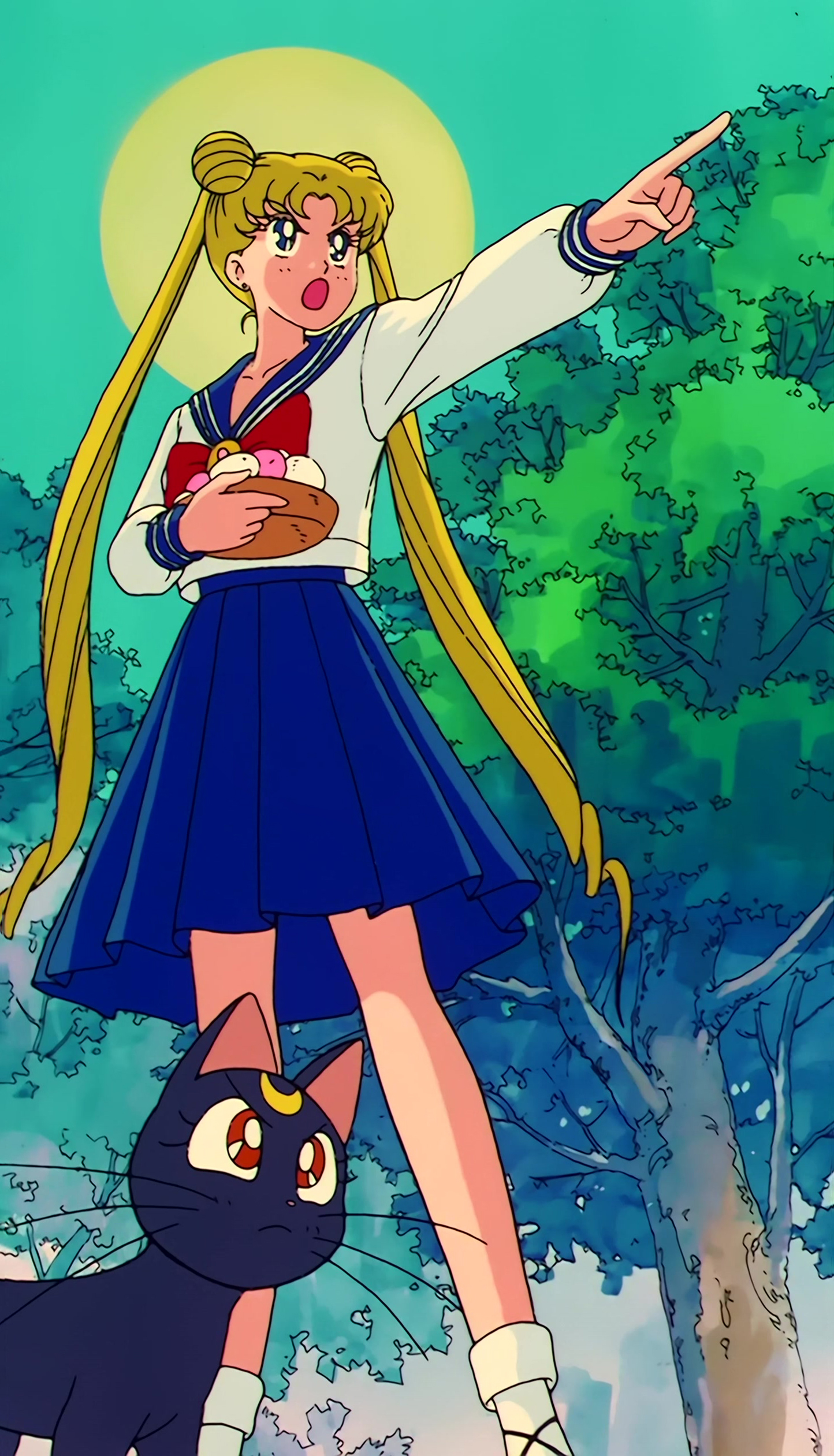 Sailor Moon Stitch 0775.jpg