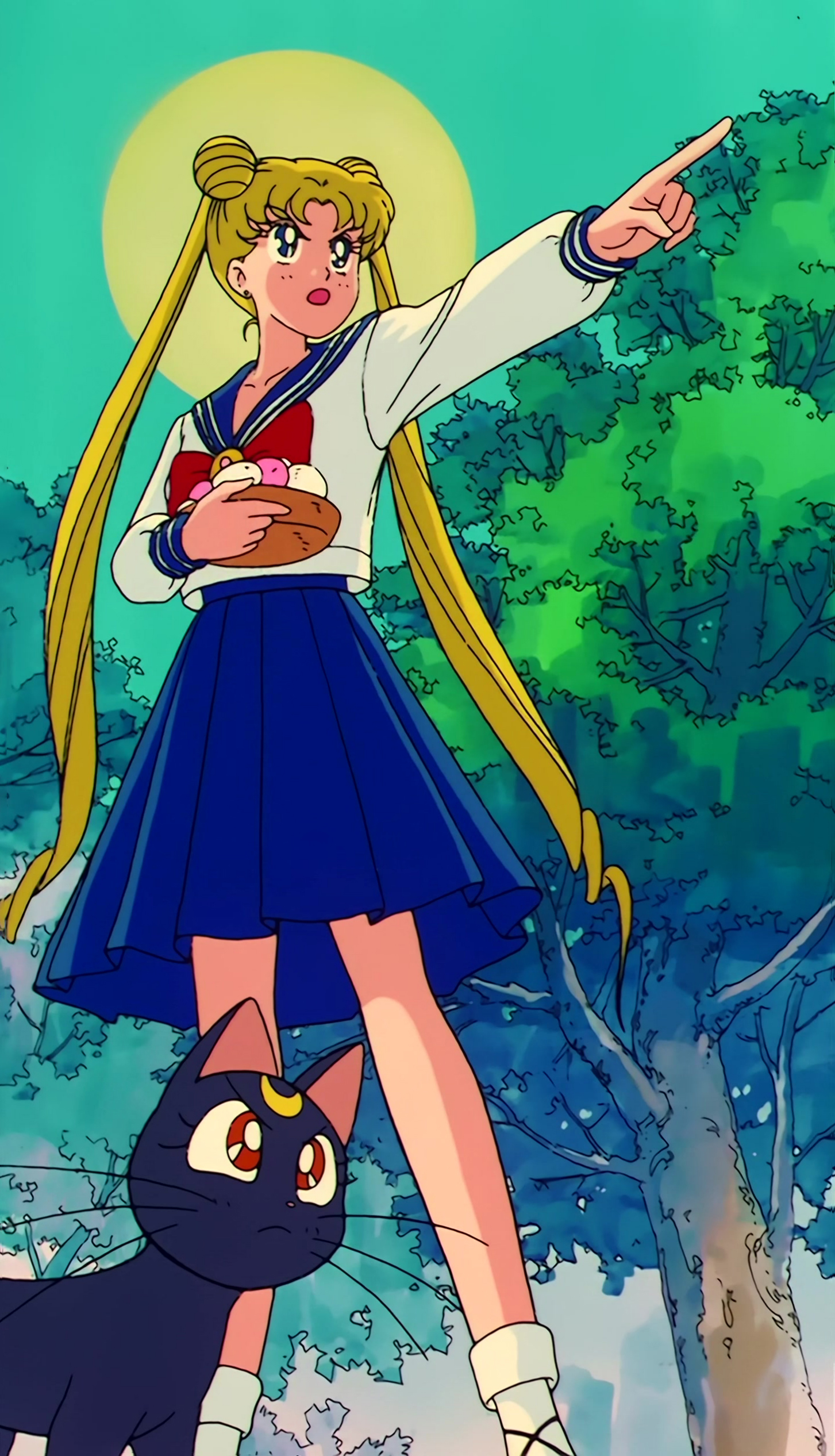 Sailor Moon Stitch 0776.jpg