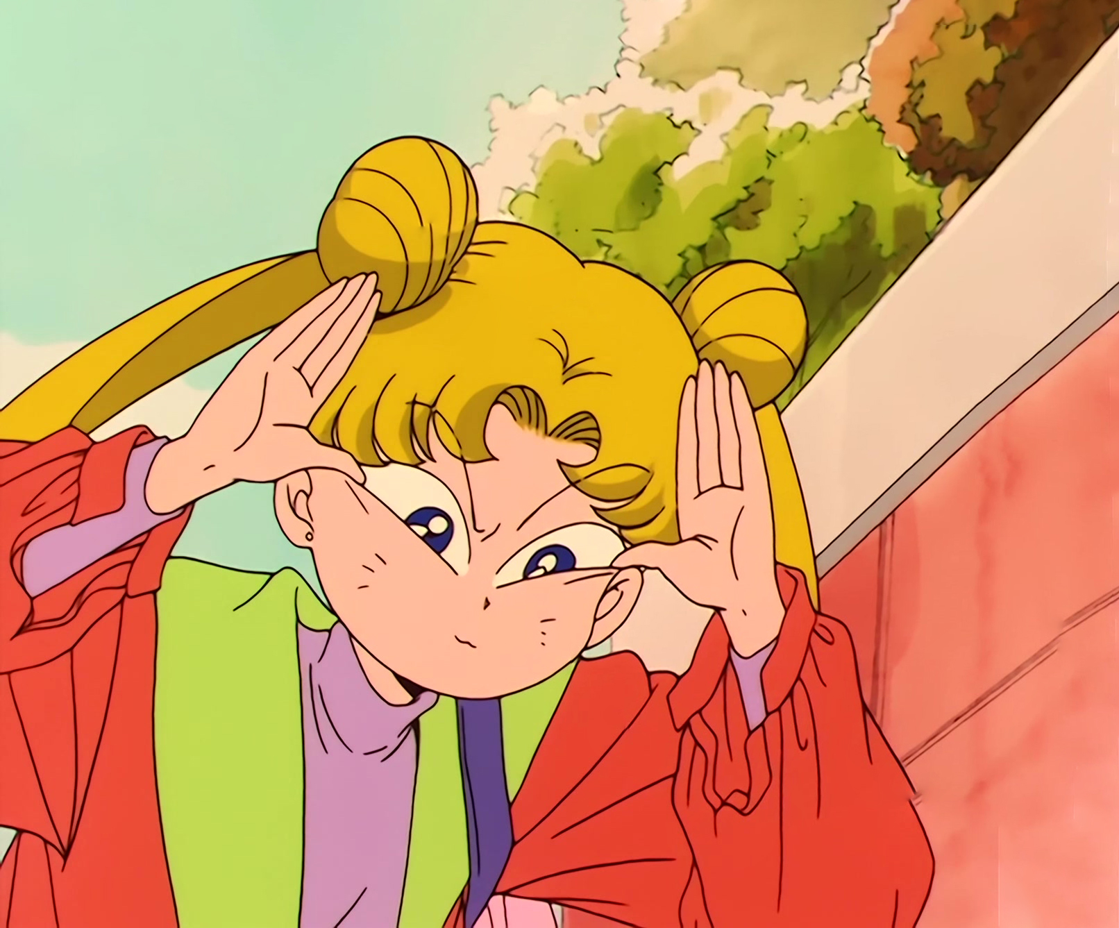 Sailor Moon Stitch 0791.jpg