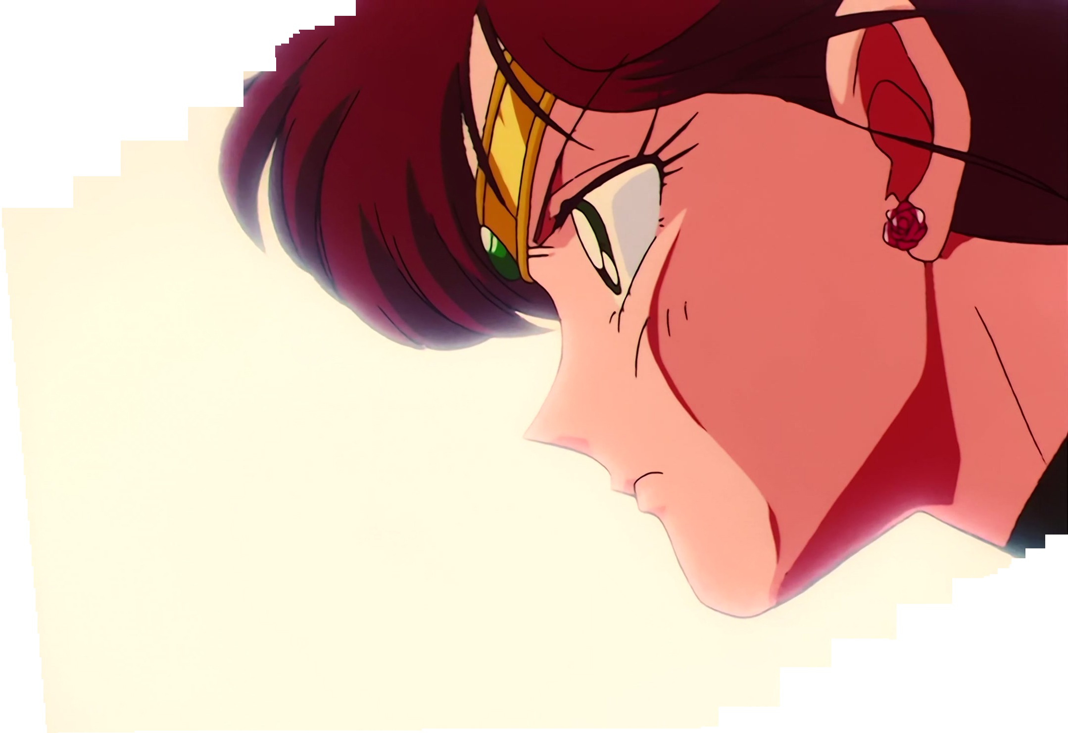 Sailor Moon Stitch 0810.jpg