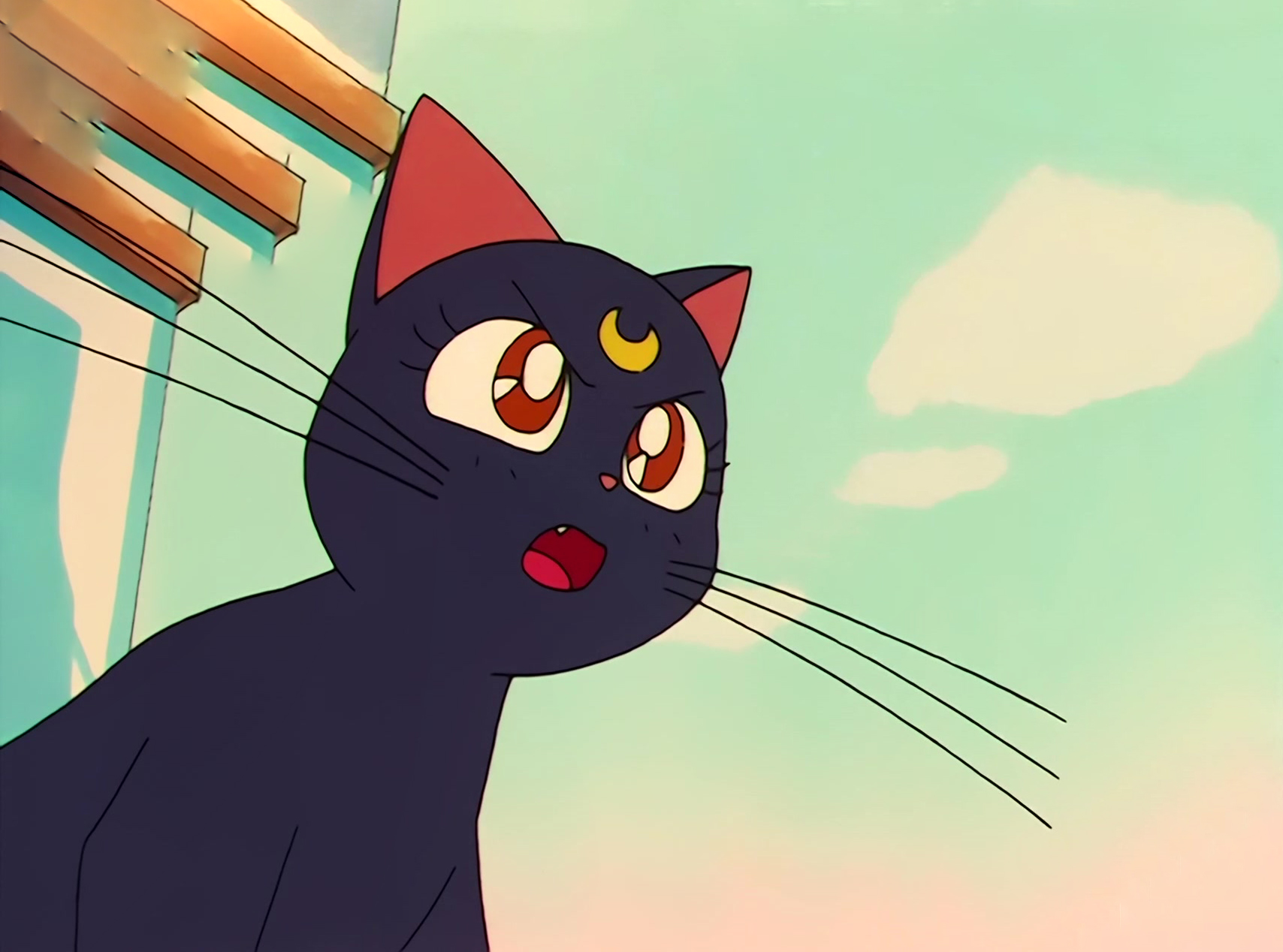 Sailor Moon Stitch 0828.jpg