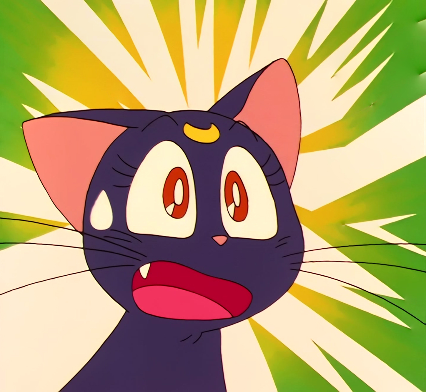 Sailor Moon Stitch 0850.jpg