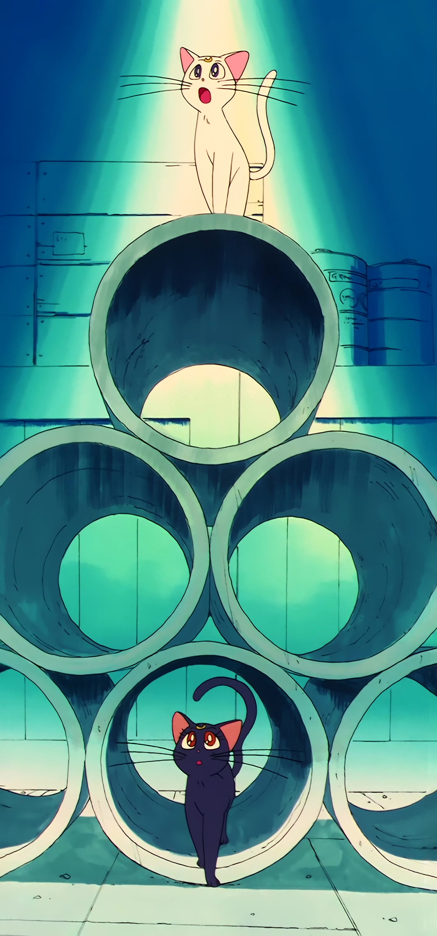 Sailor Moon Stitch 0876.jpg