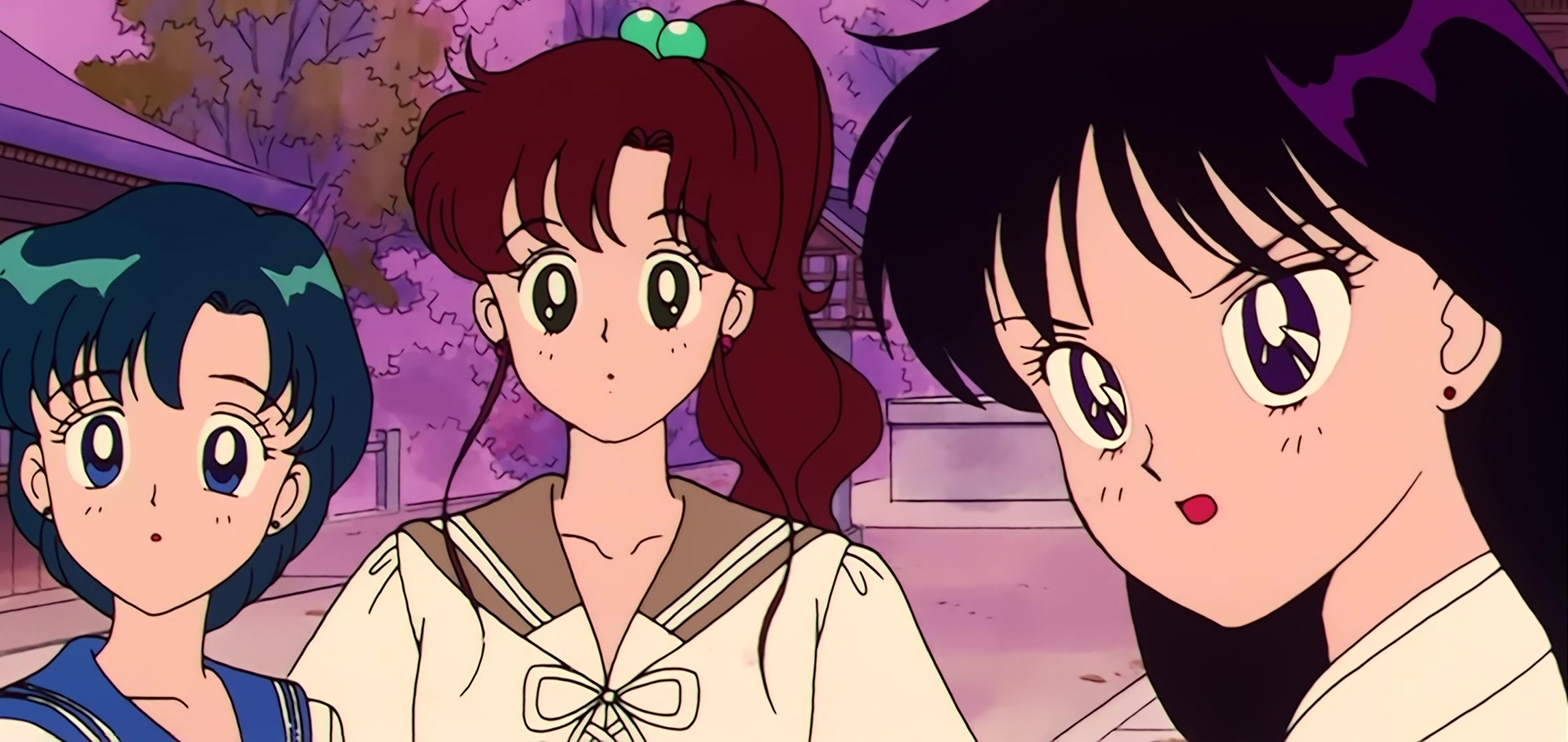 Sailor Moon Stitch 0890.jpg