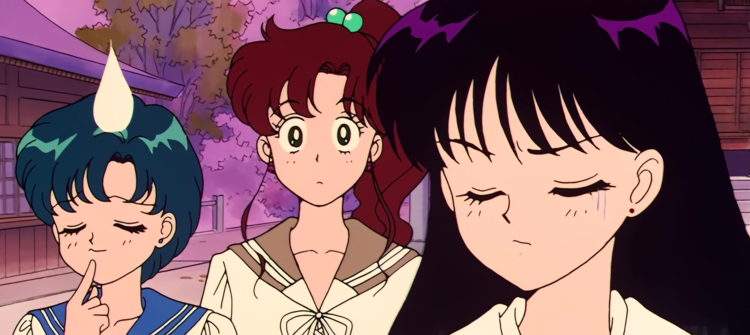 Sailor Moon Stitch 0891.jpg