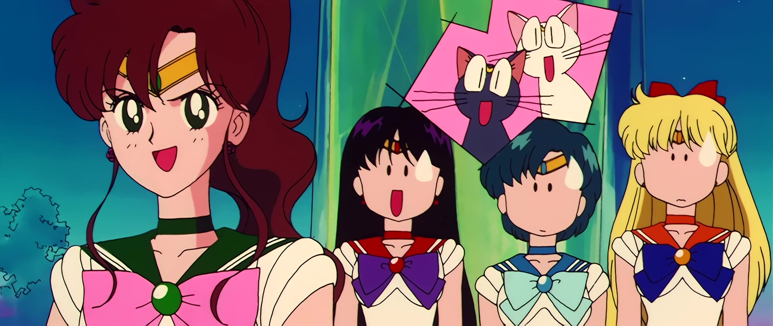 Sailor Moon Stitch 0897.jpg