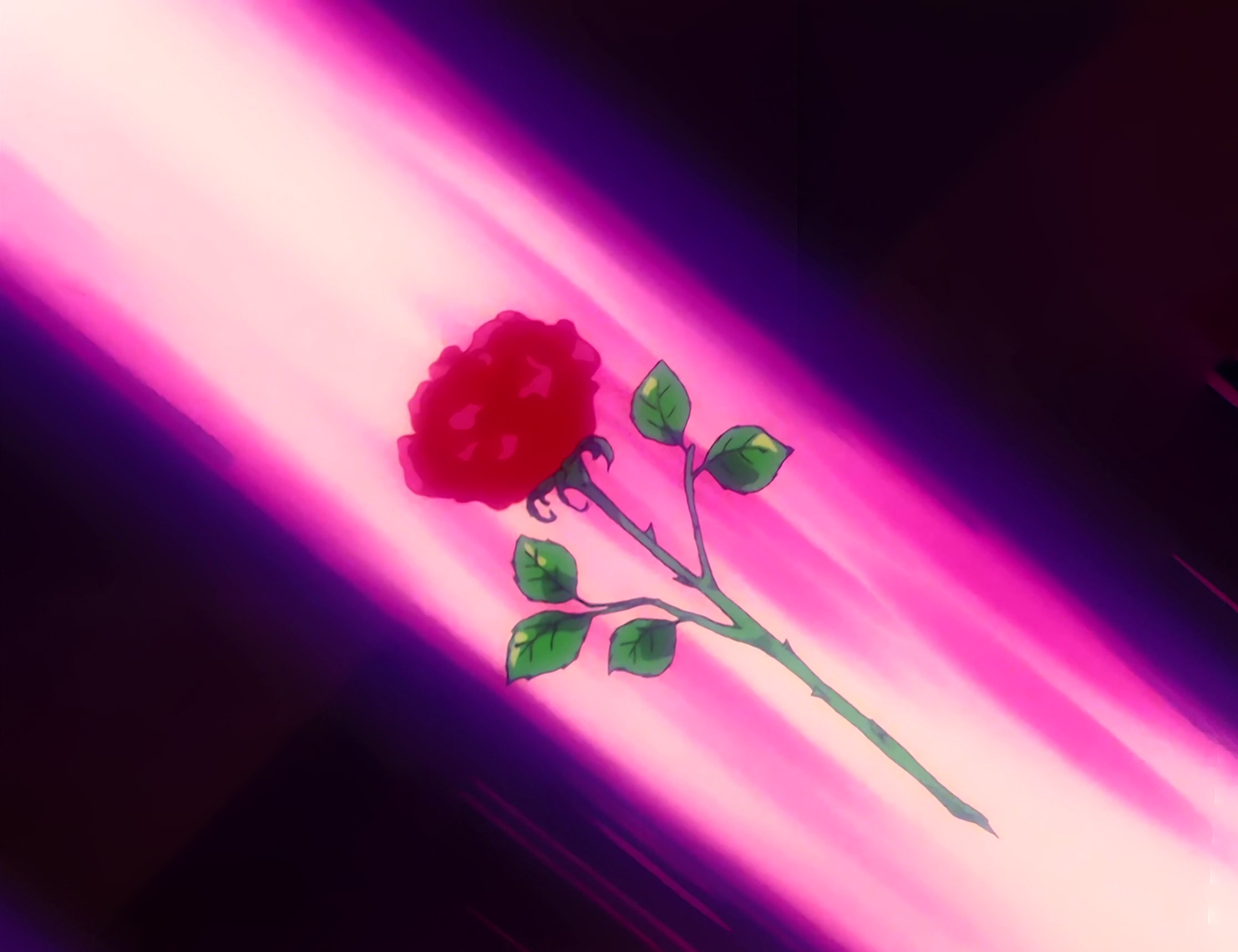 Sailor Moon Stitch 0985.jpg