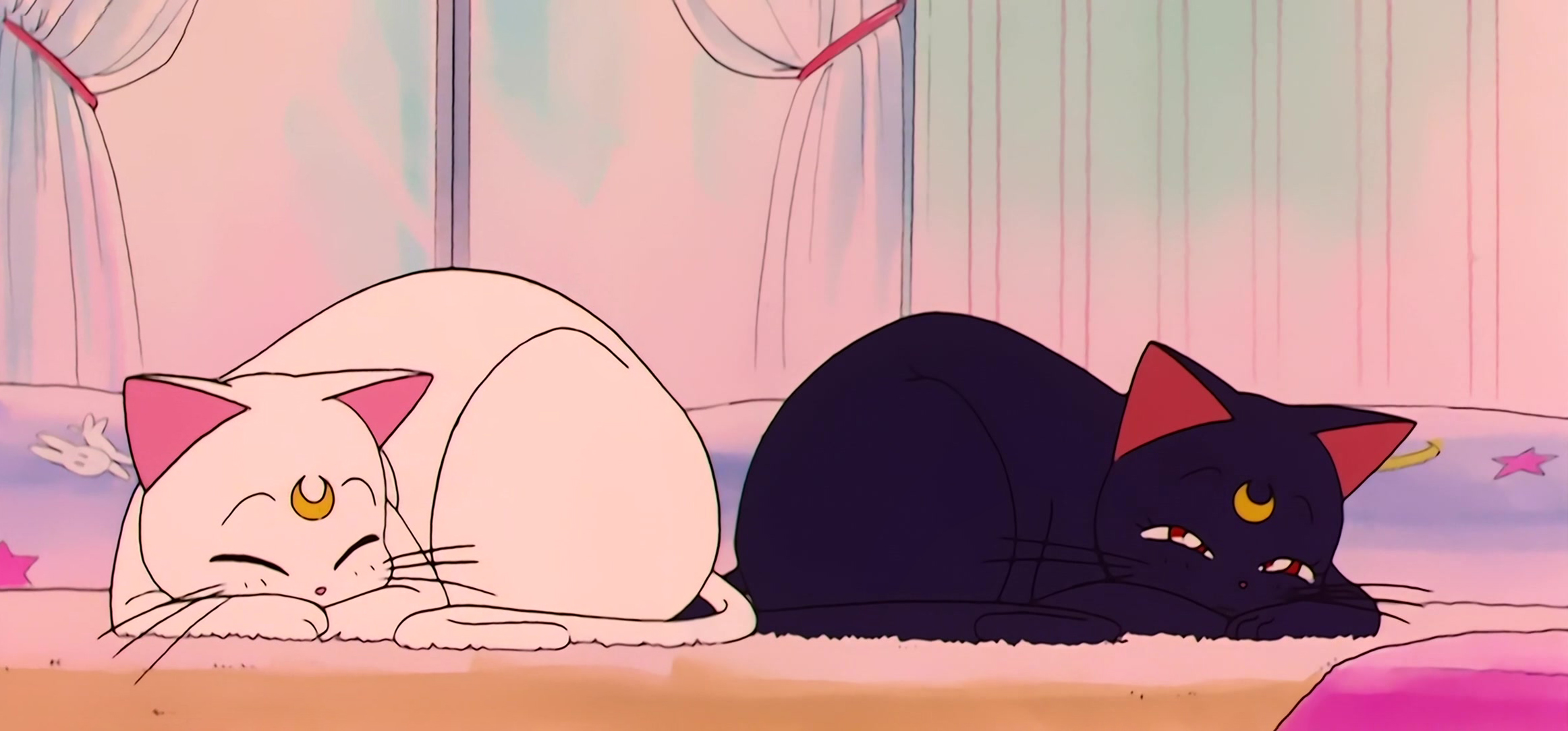 Sailor Moon Stitch 0997.jpg