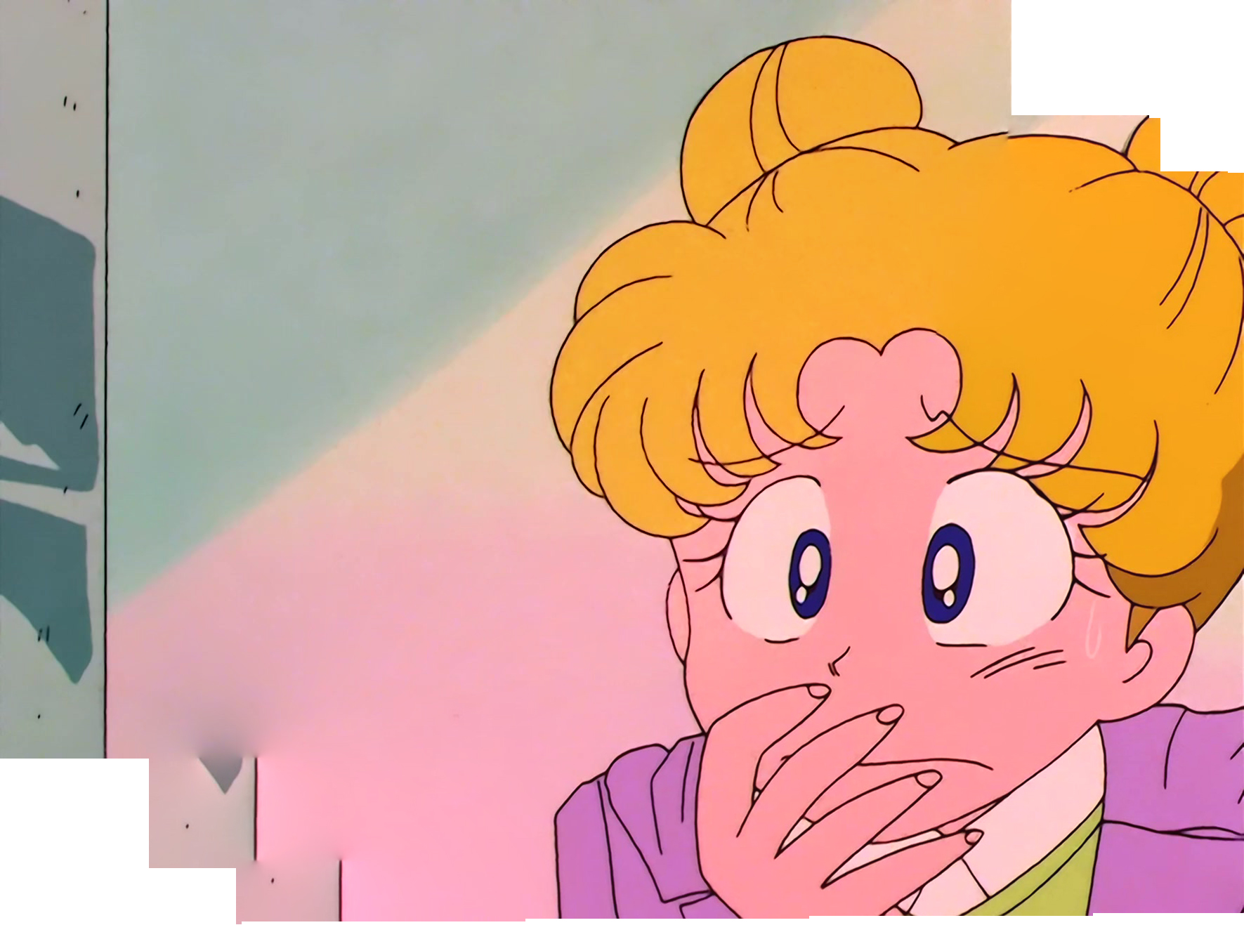 Sailor Moon Stitch 1052.jpg