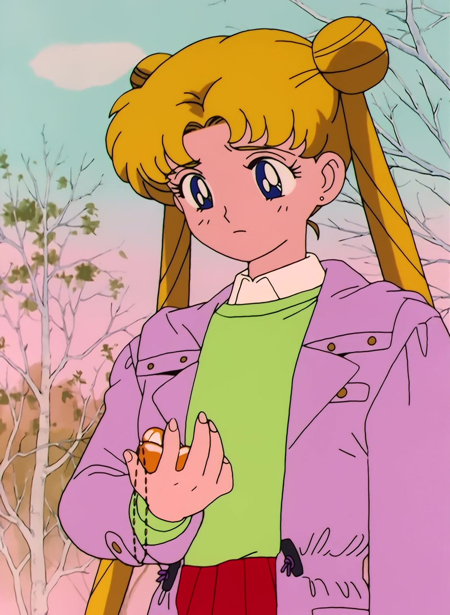 Sailor Moon Stitch 1099.jpg