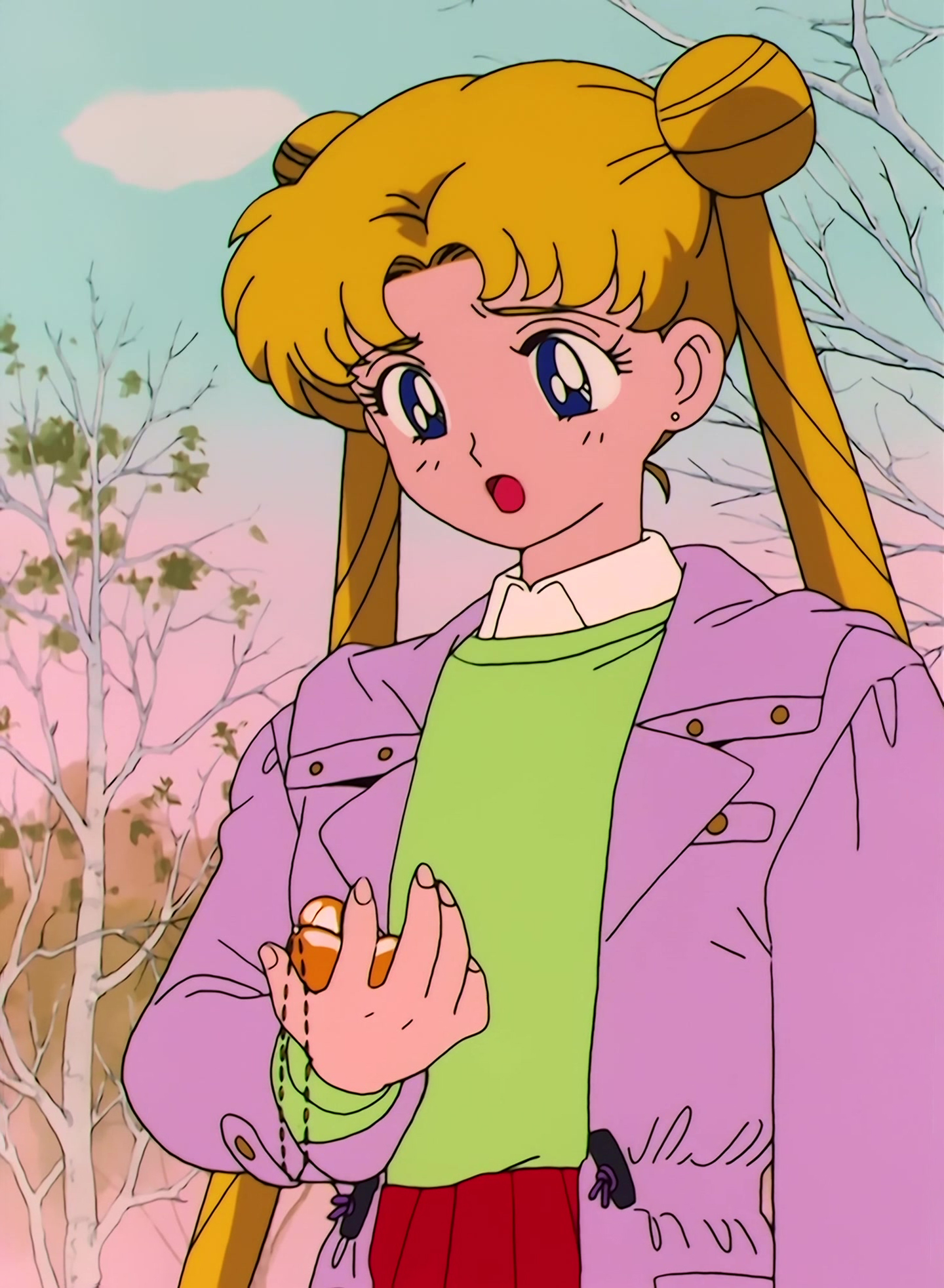 Sailor Moon Stitch 1100.jpg