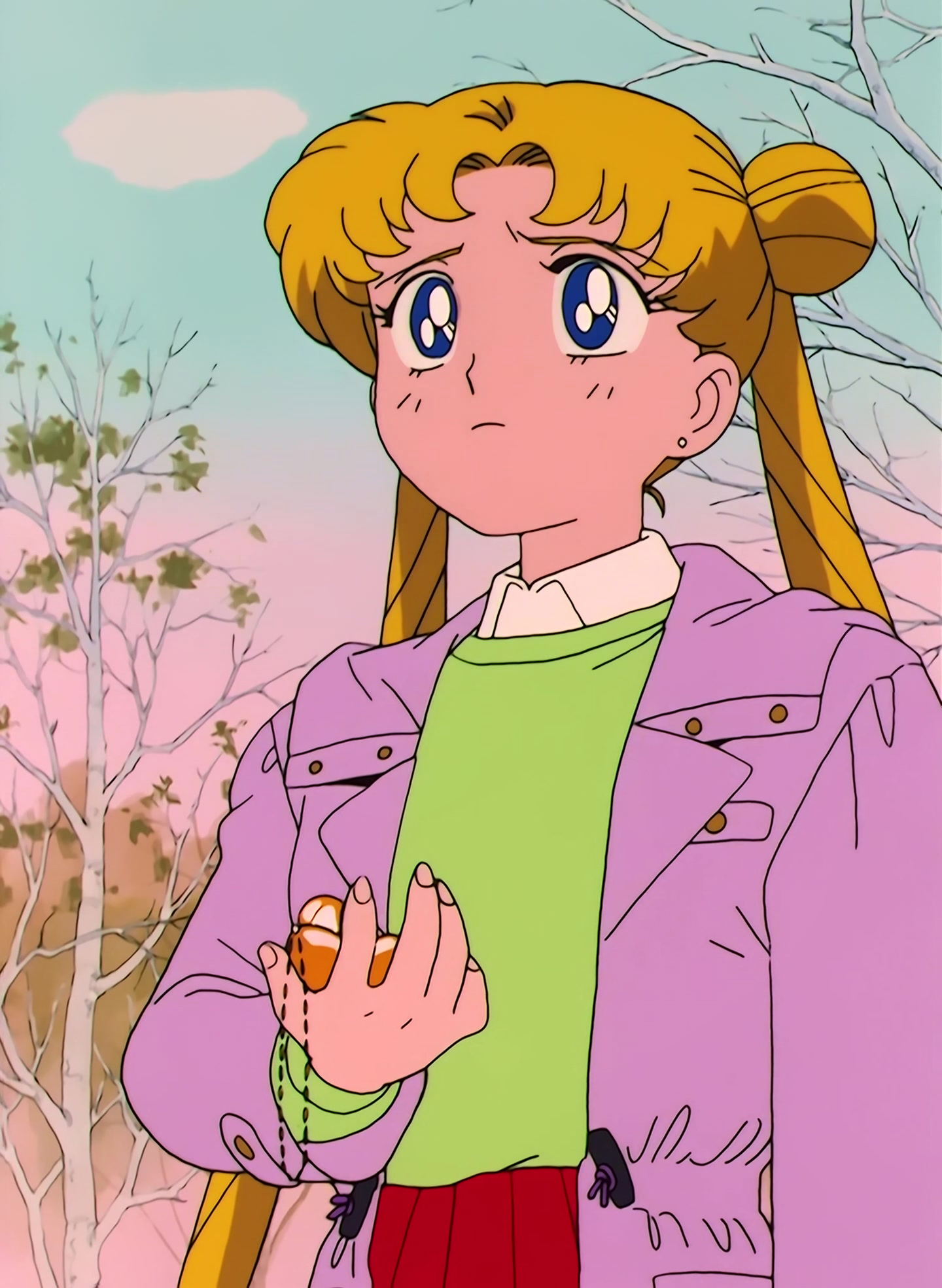 Sailor Moon Stitch 1101.jpg