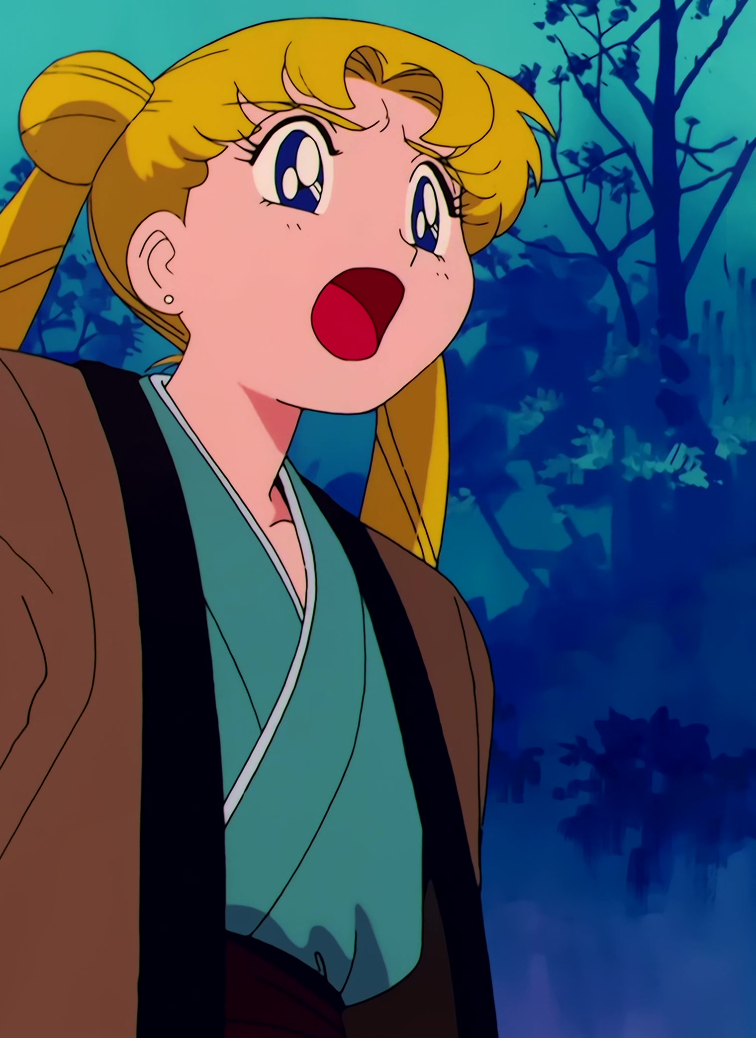 Sailor Moon Stitch 1109.jpg