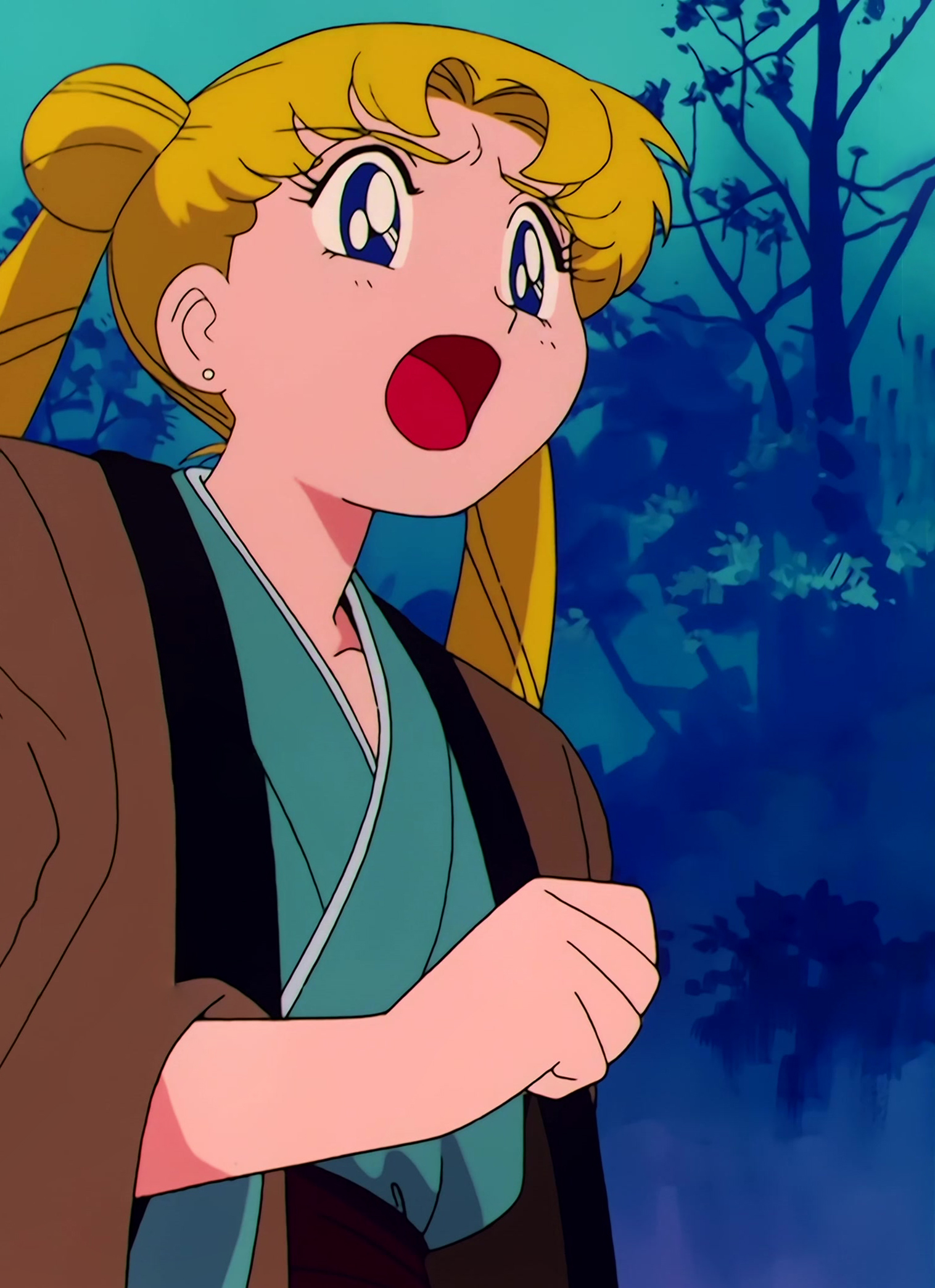 Sailor Moon Stitch 1110.jpg