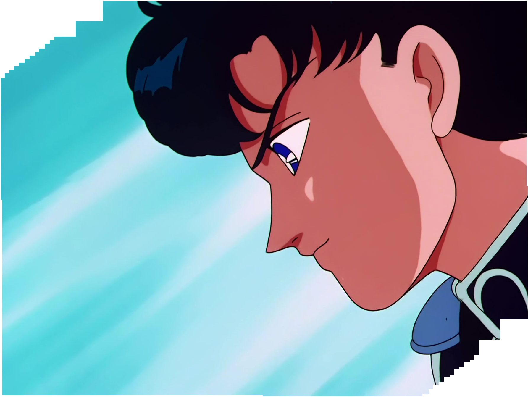 Sailor Moon Stitch 1120.jpg