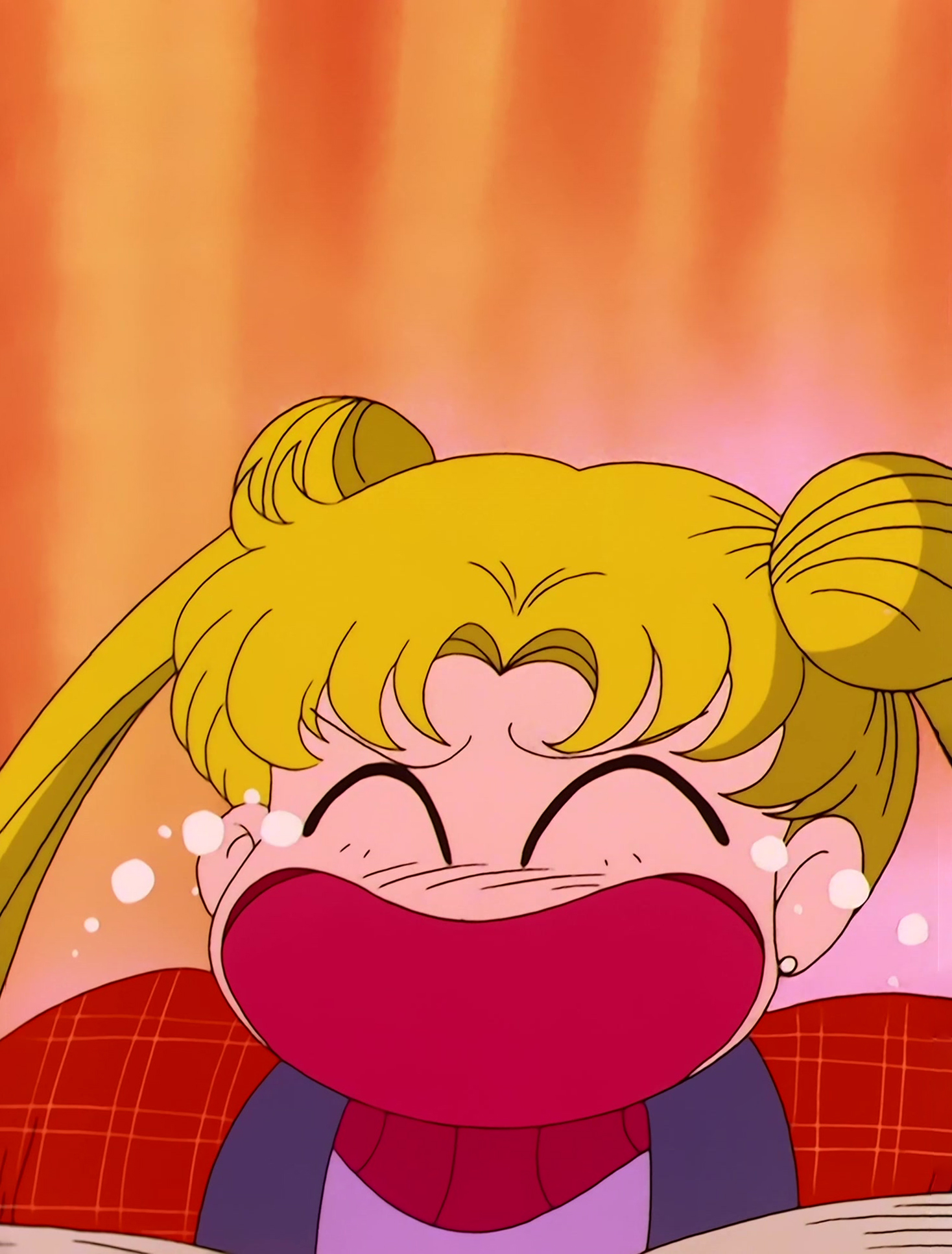 Sailor Moon Stitch 1132.jpg