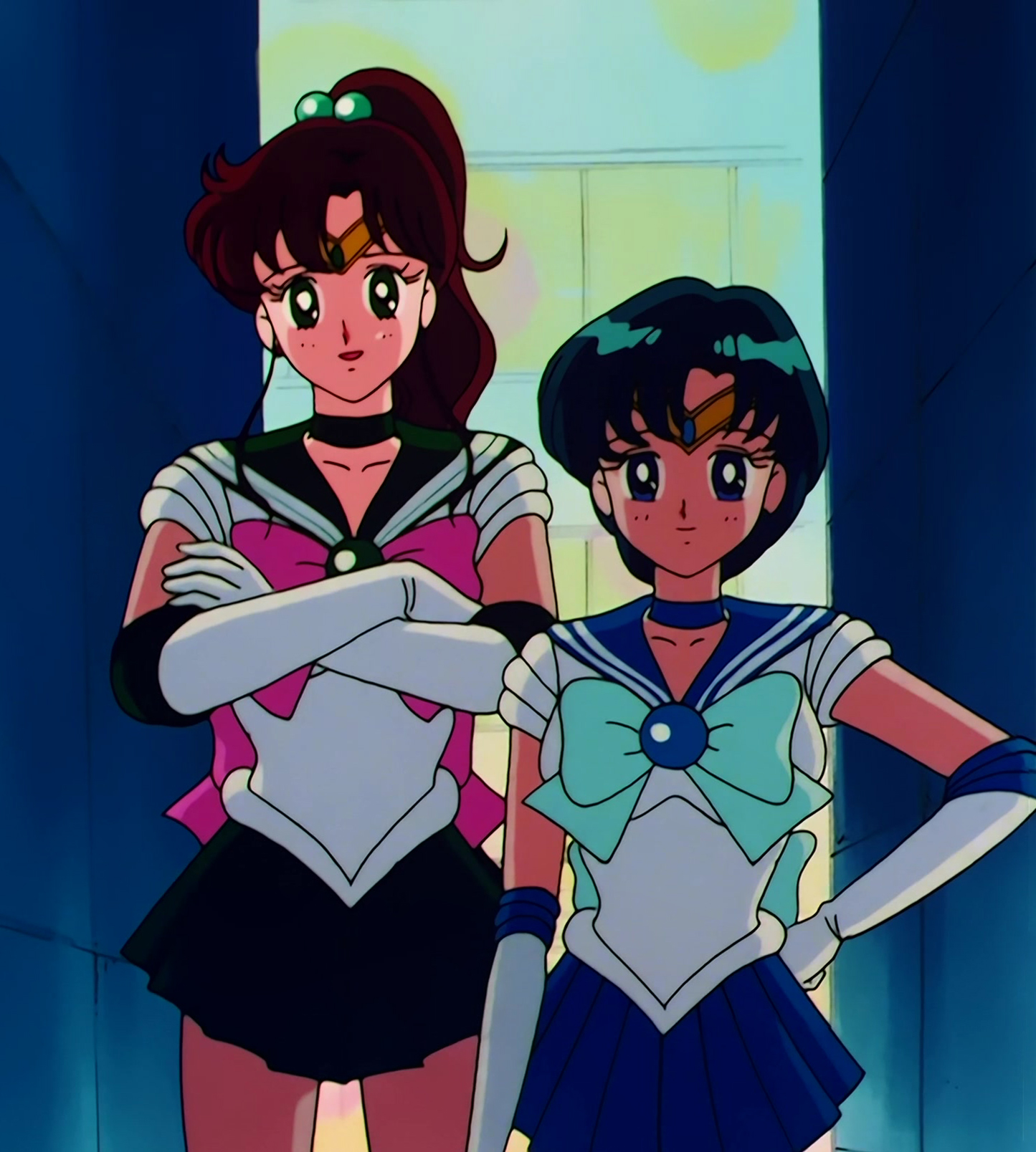 Sailor Moon Stitch 1141.jpg