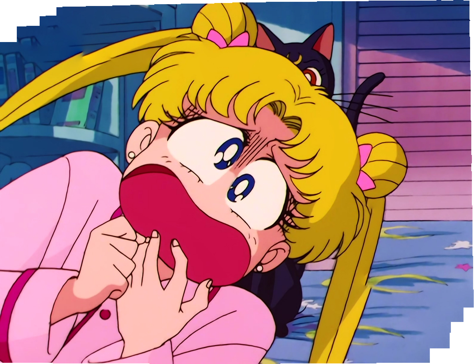 Sailor Moon Stitch 1177.jpg