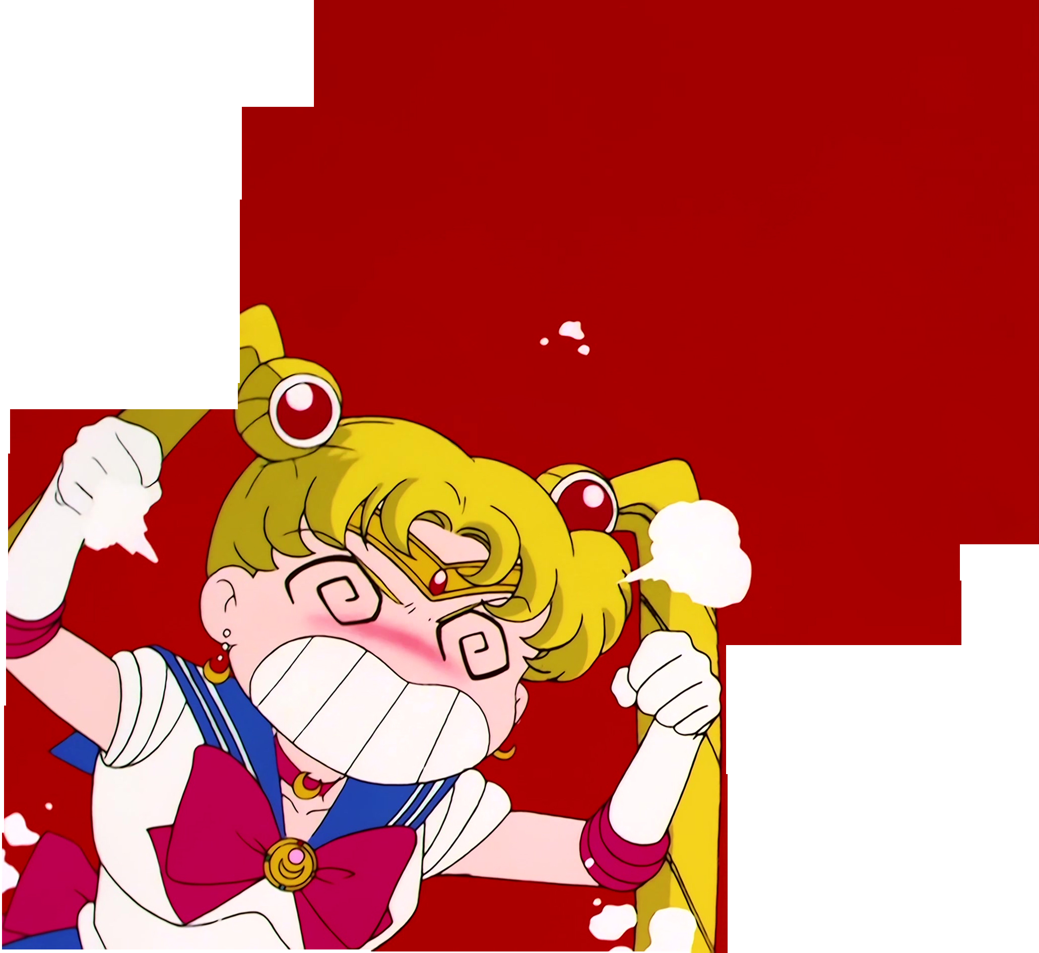 Sailor Moon Stitch 1219.jpg