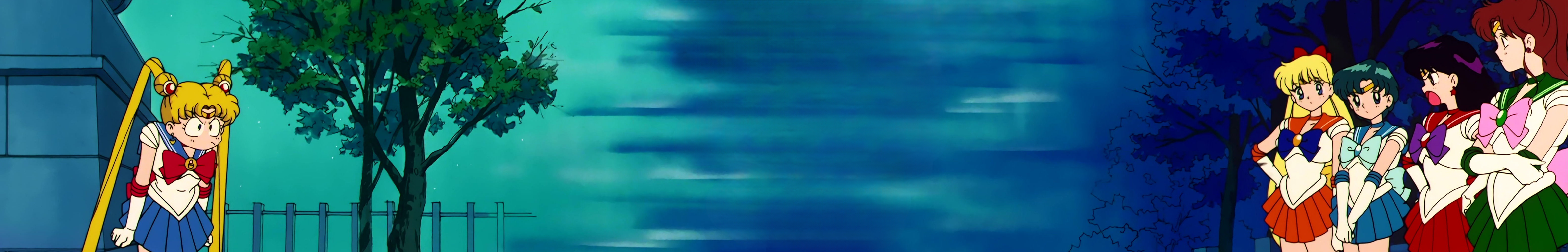 Sailor Moon Stitch 1233.jpg