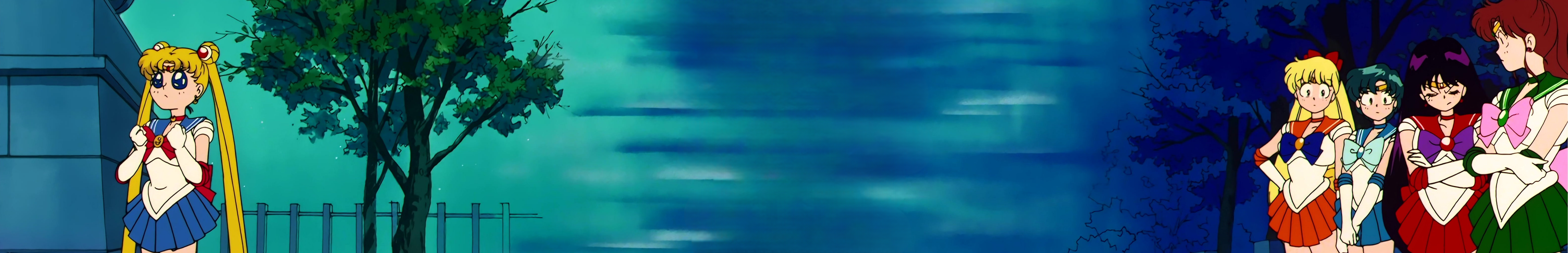 Sailor Moon Stitch 1234.png