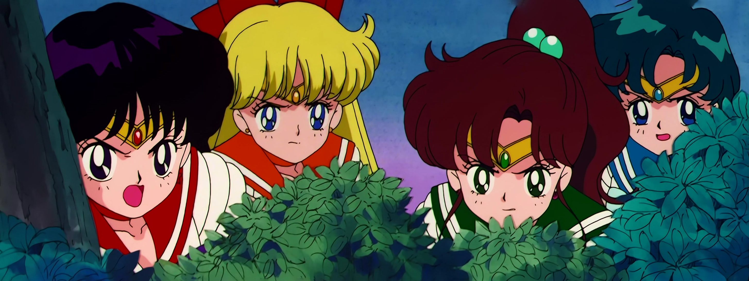 Sailor Moon Stitch 1258.jpg