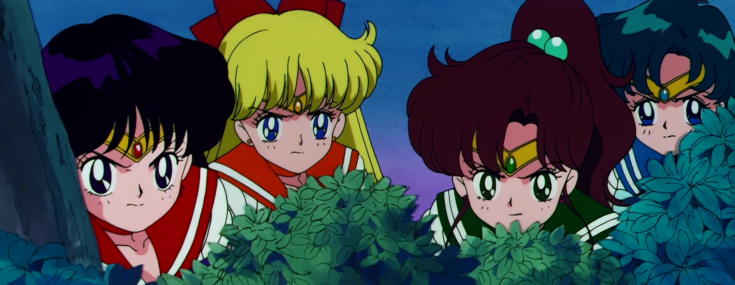 Sailor Moon Stitch 1259.jpg