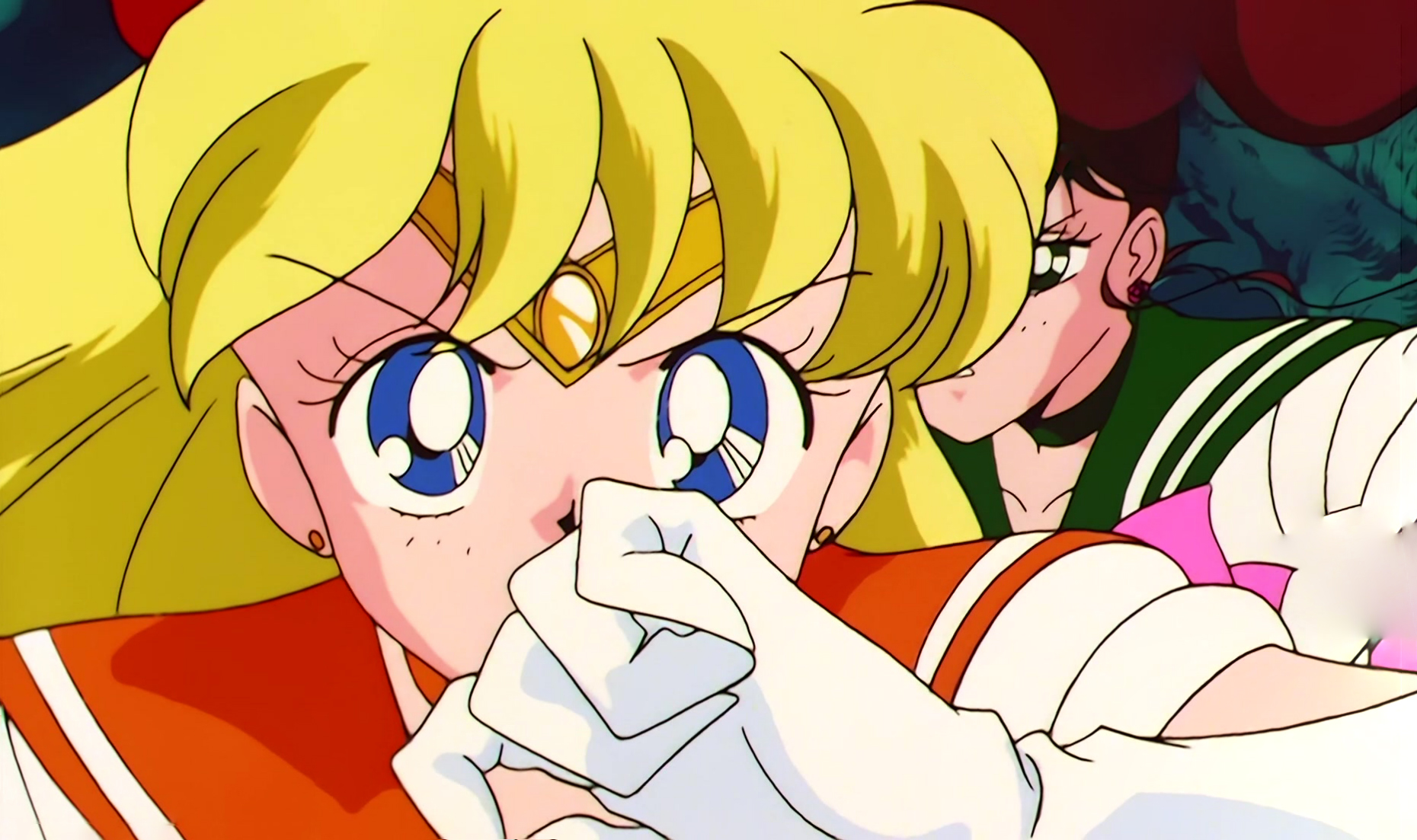 Sailor Moon Stitch 1274.jpg