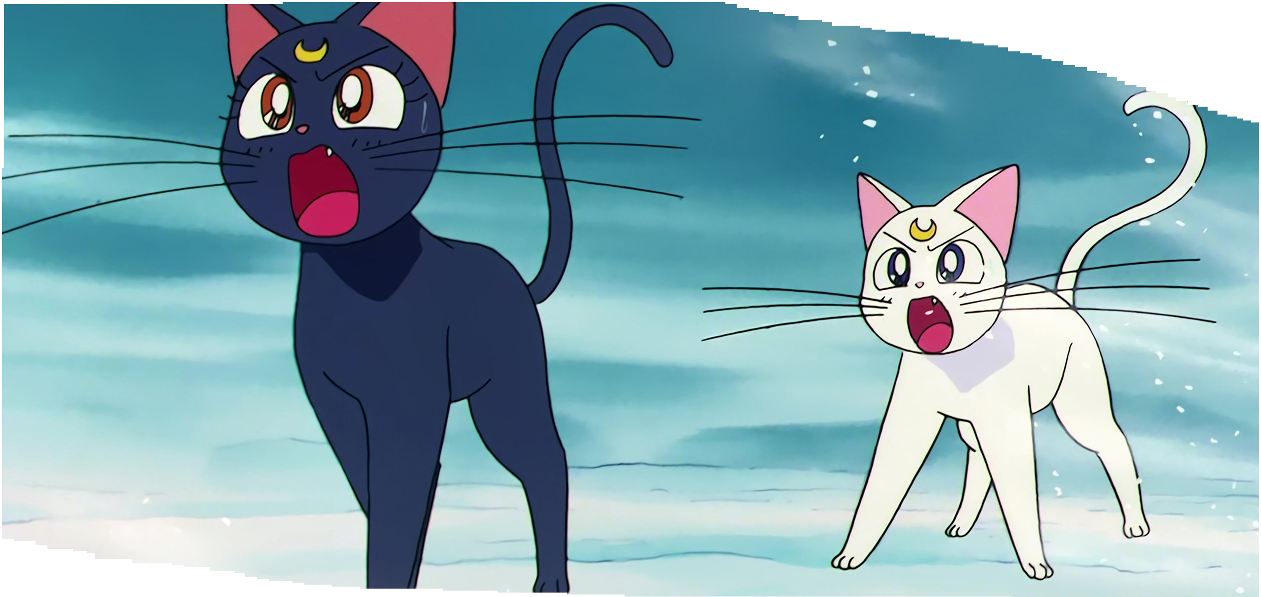 Sailor Moon Stitch 1312.jpg