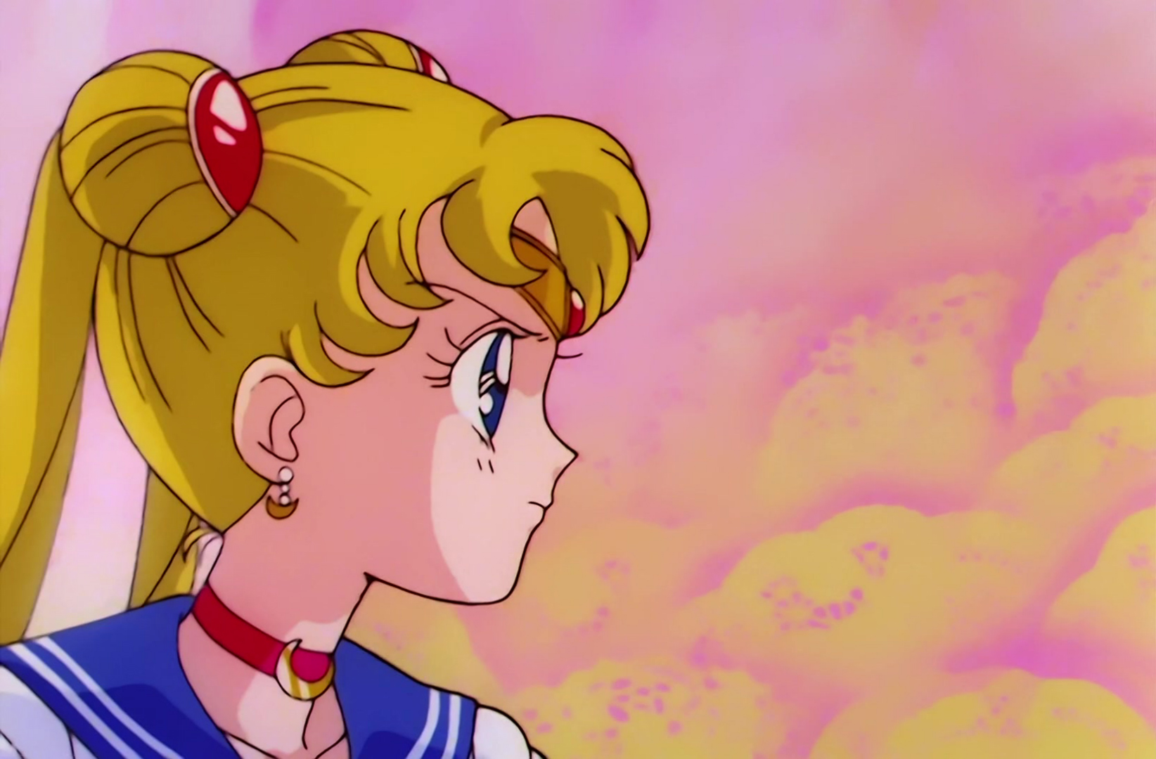 Sailor Moon Stitch 1320.jpg