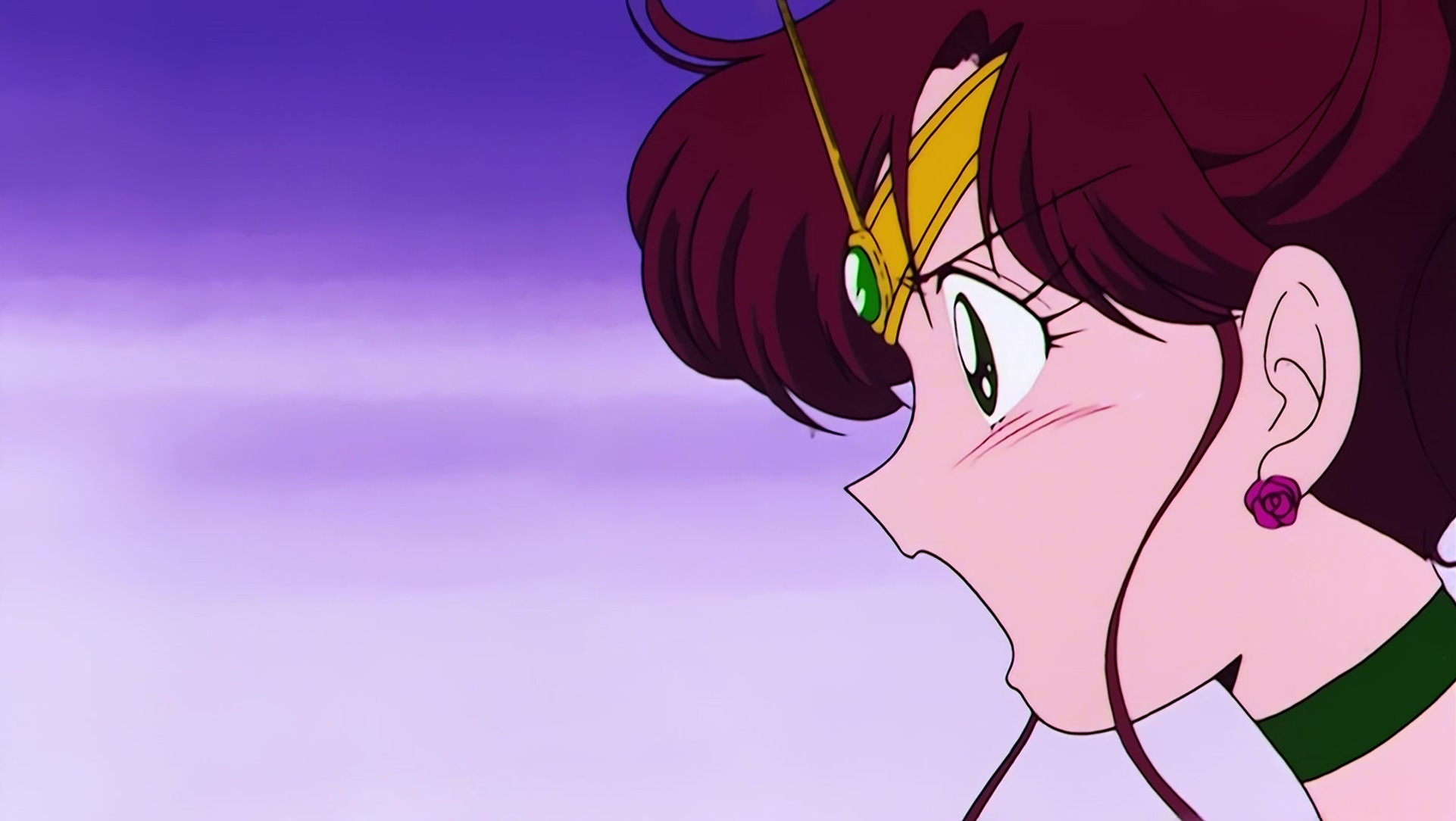 Sailor Moon Stitch 1336.jpg