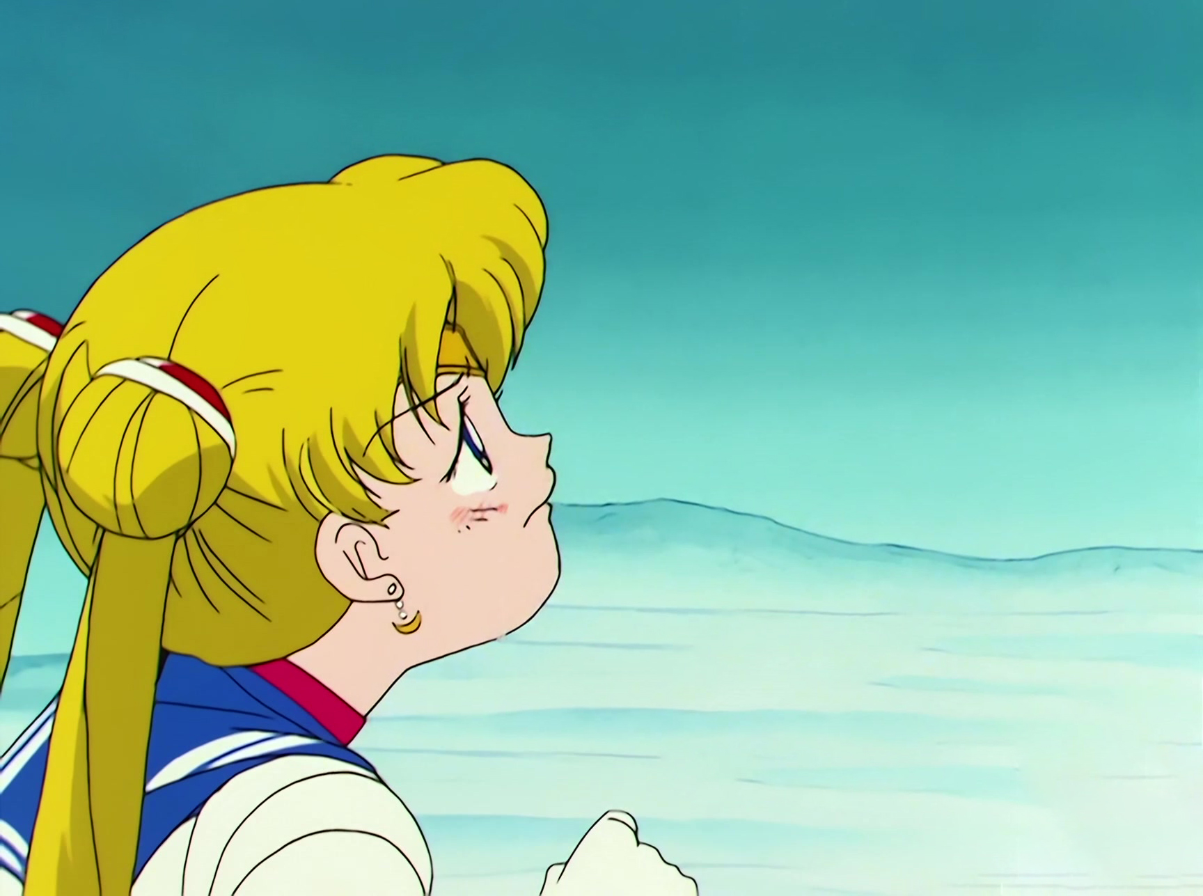 Sailor Moon Stitch 1346.jpg
