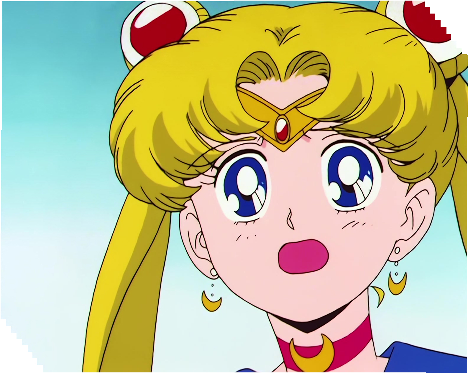 Sailor Moon Stitch 1360.jpg