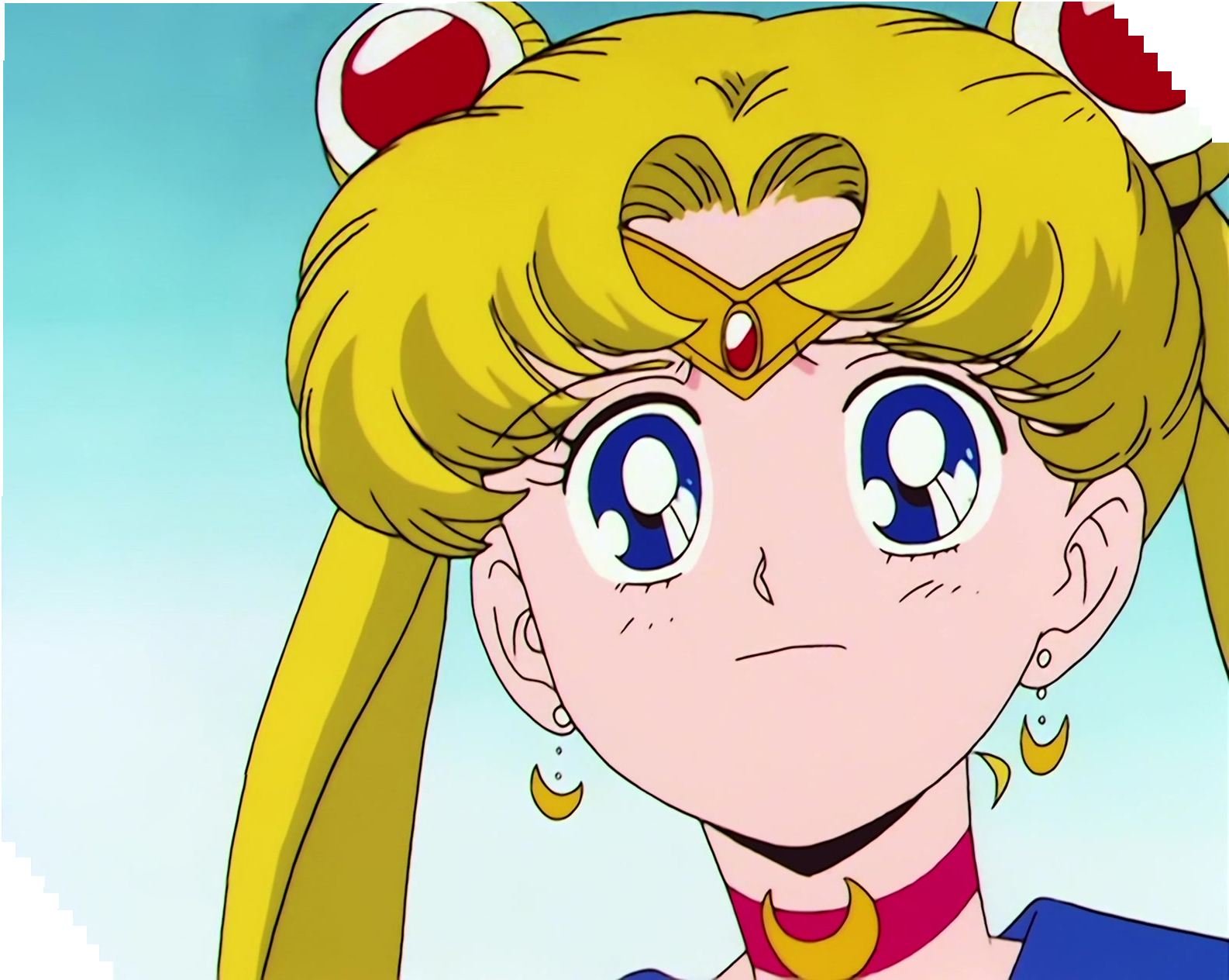 Sailor Moon Stitch 1362.jpg