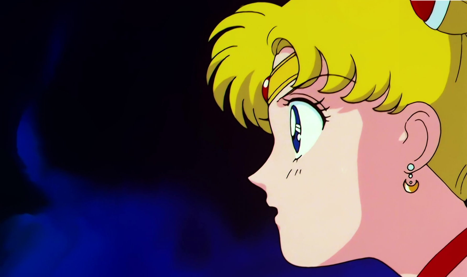 Sailor Moon Stitch 1374.jpg